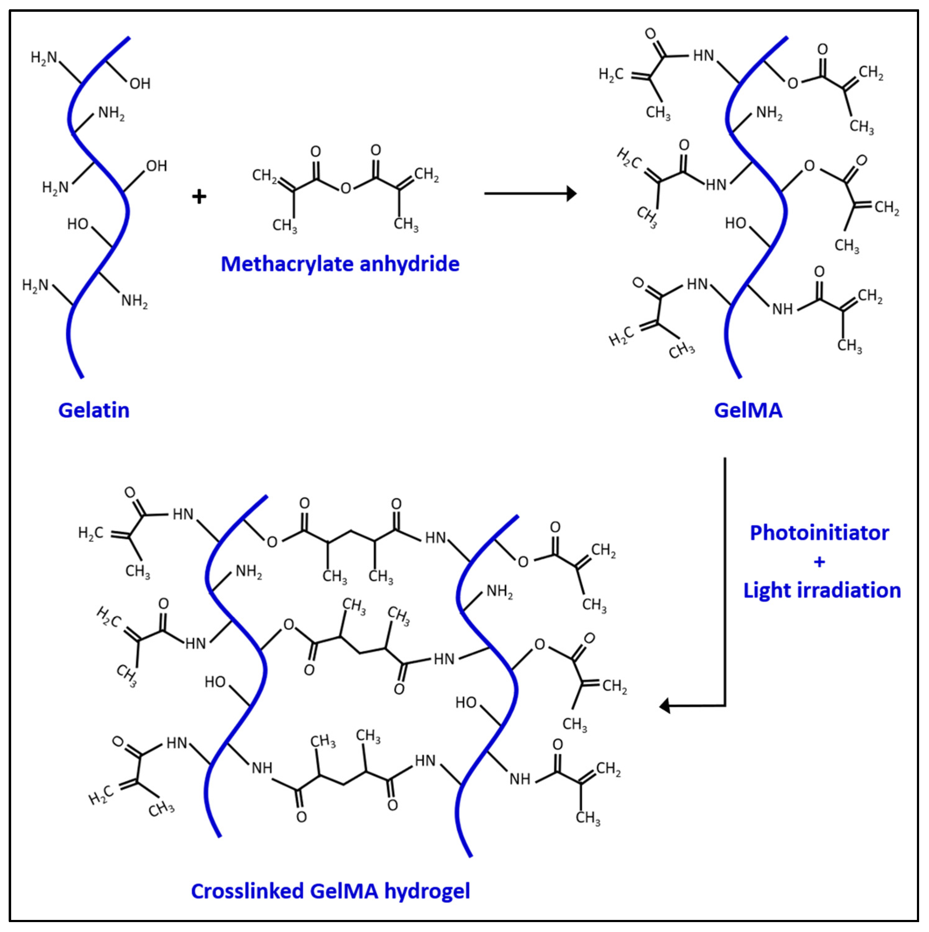 Pharmaceuticals 15 00171 sch001