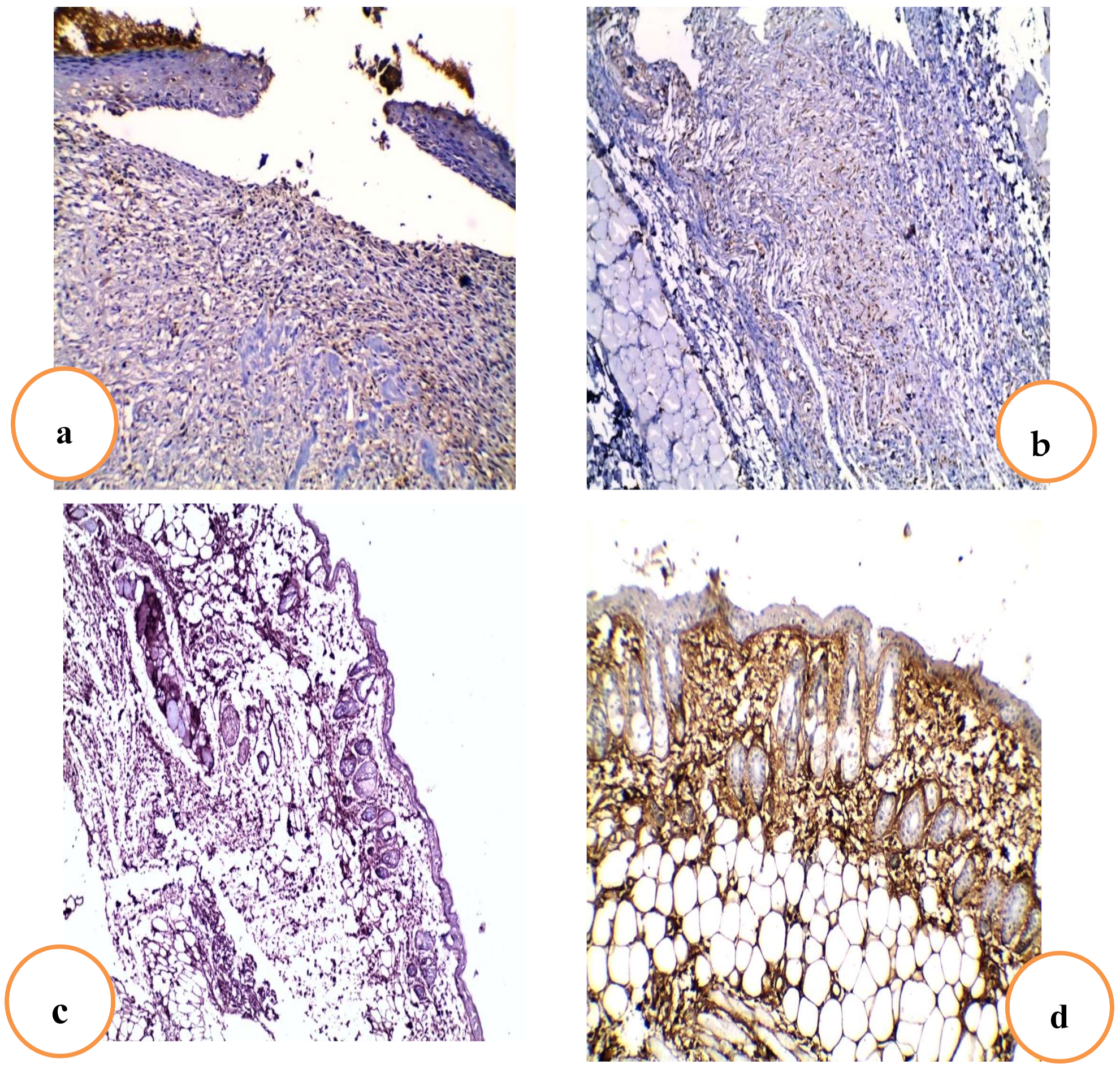 Pharmaceuticals 15 00178 g008 Pharmaceuticals 15 00178 g008