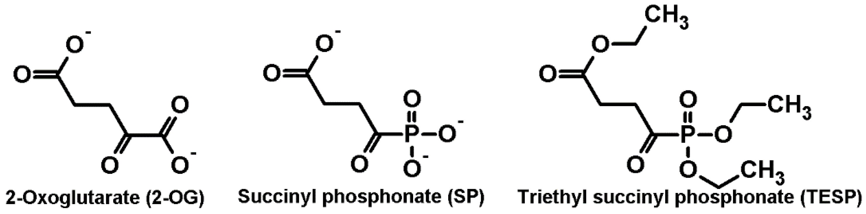 Pharmaceuticals 15 00182 g001