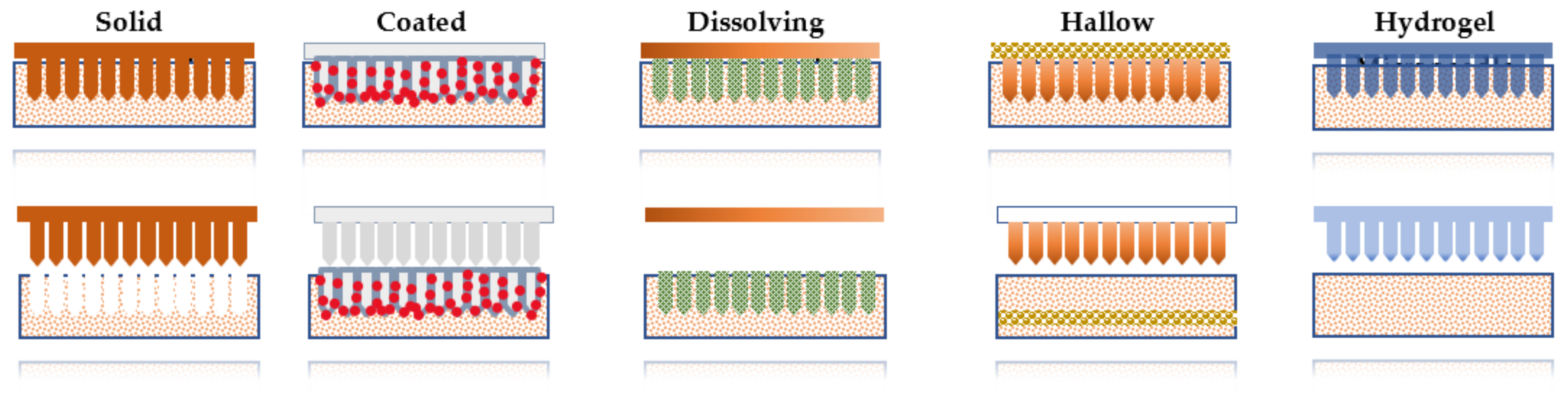 Pharmaceuticals 15 00190 g002