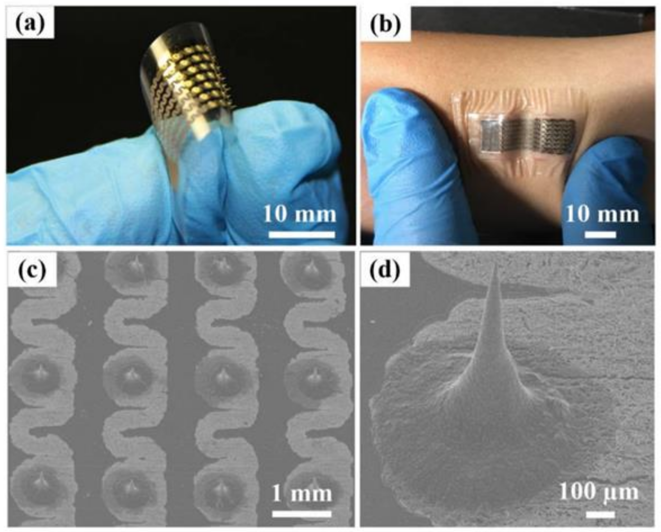 Pharmaceuticals 15 00190 g005