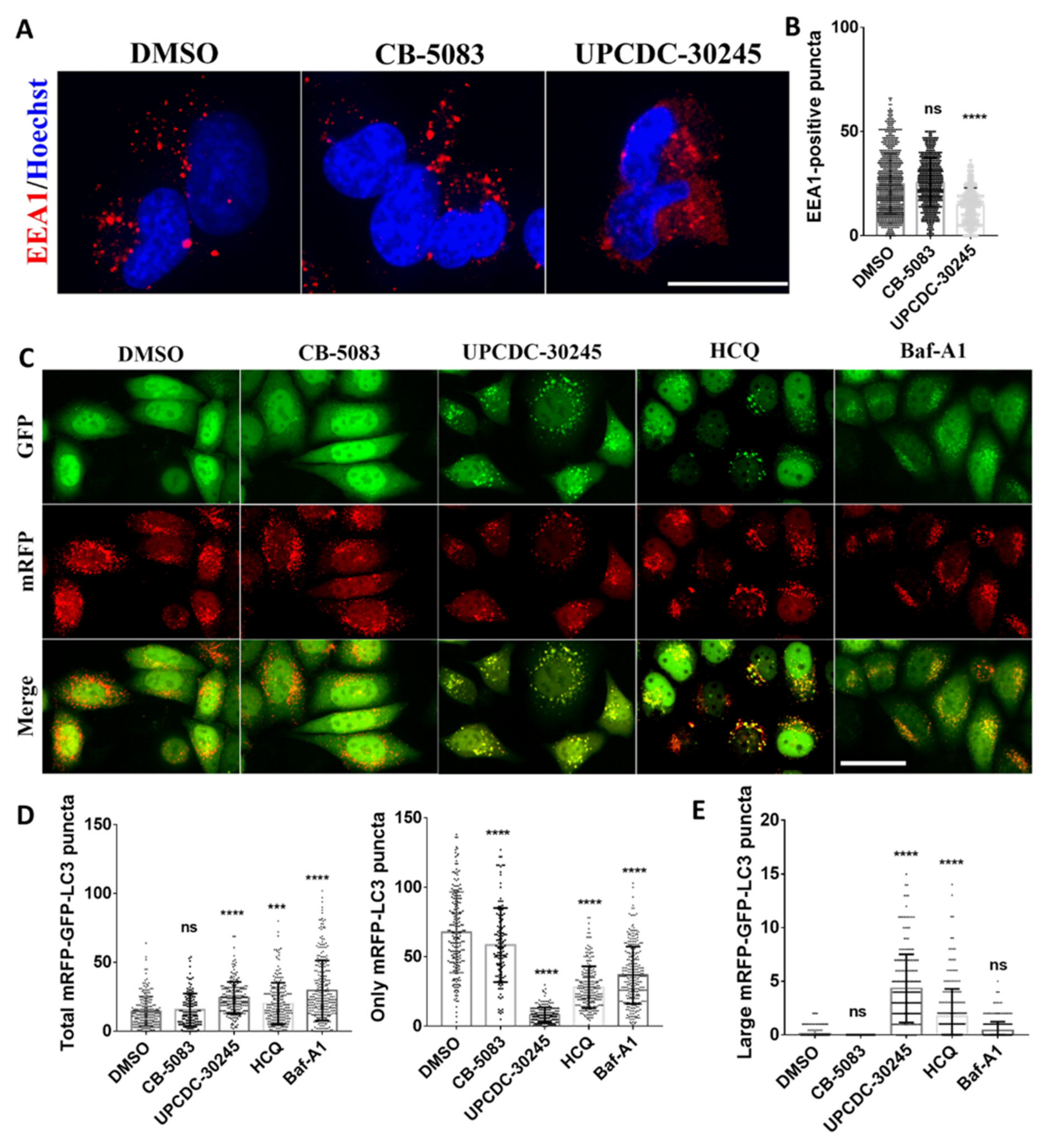 VCP/p97-Mediated Unfolding as a Principle in Protein Homeostasis and  Signaling: Molecular Cell - www.unidentalce.com.br