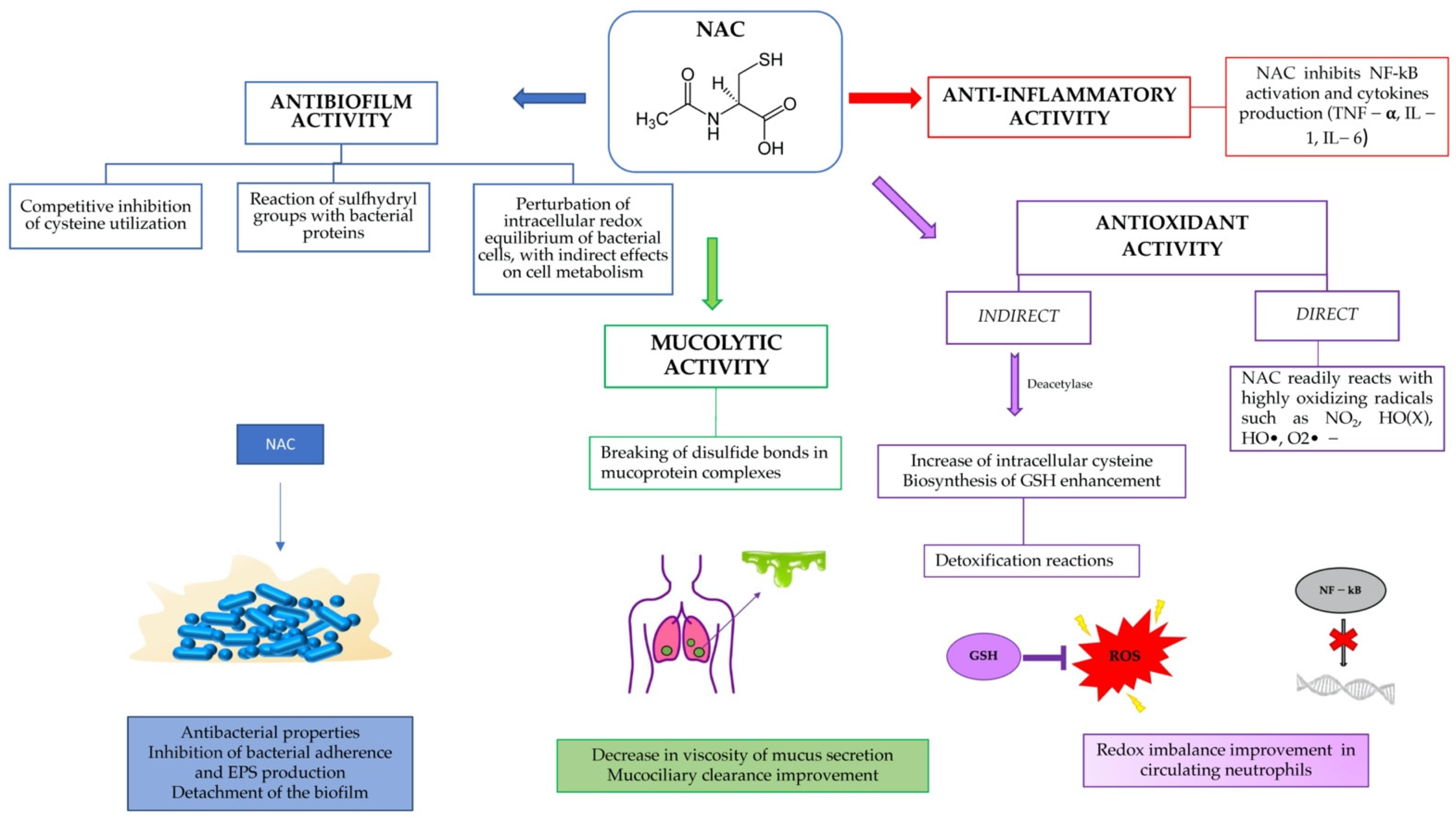 Pharmaceuticals | Free Full-Text | N-acetylcysteine (NAC) and Its Role in  Clinical Practice Management of Cystic Fibrosis (CF): A Review