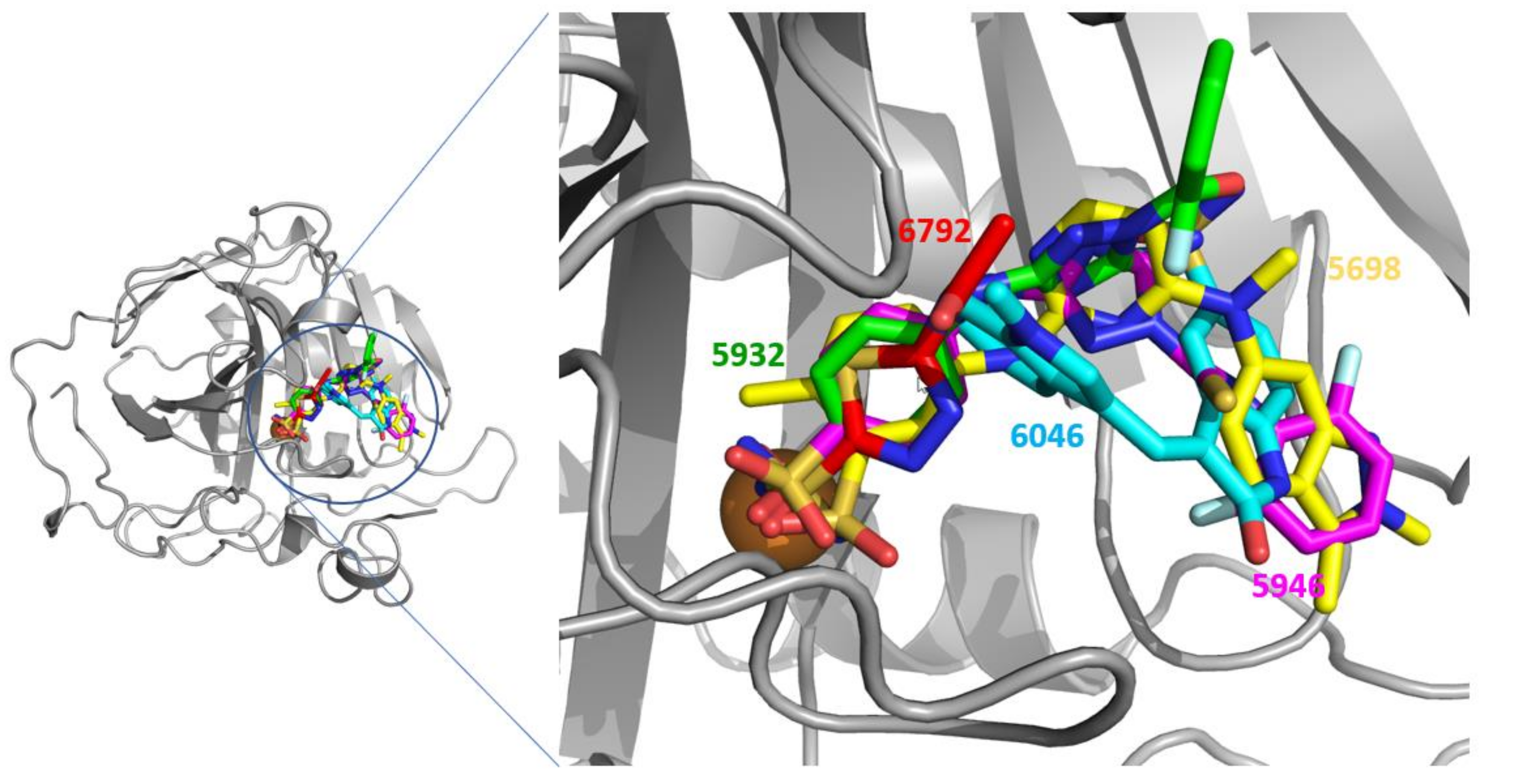 Pharmaceuticals 15 00236 g004