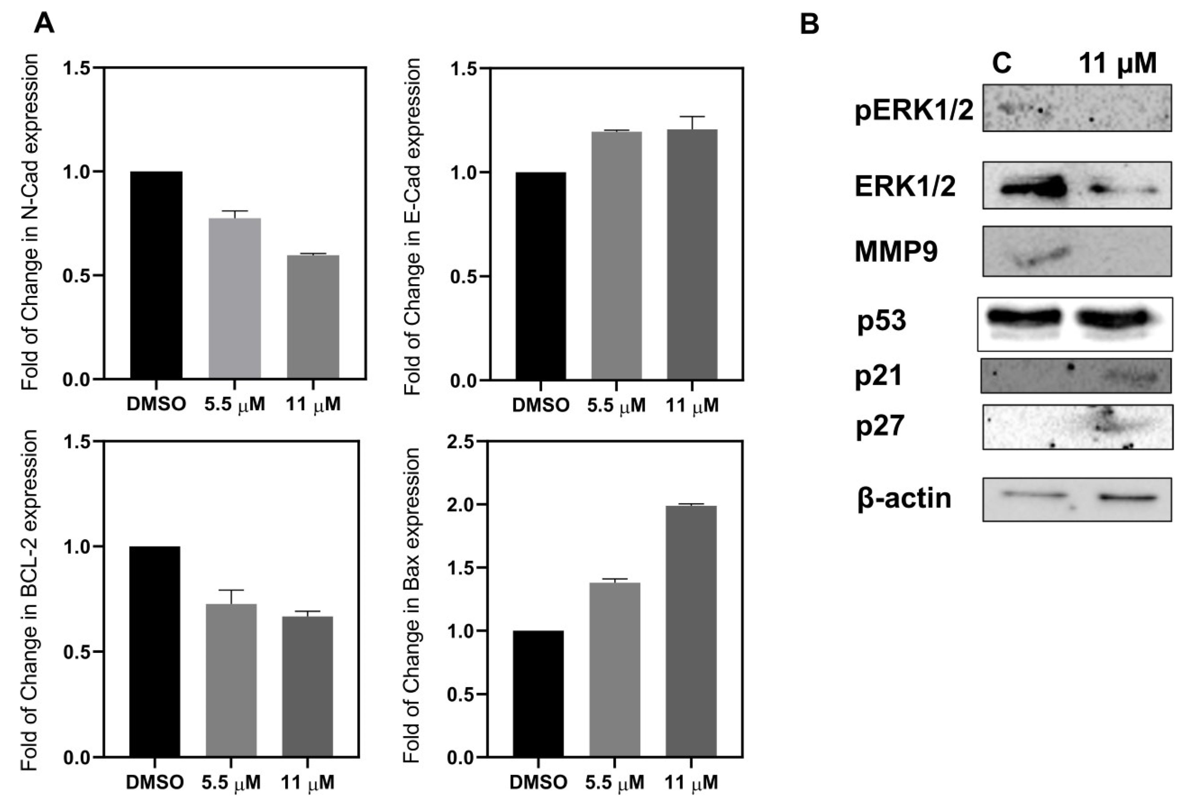 Pharmaceuticals 15 00246 g011 Pharmaceuticals 15 00246 g011