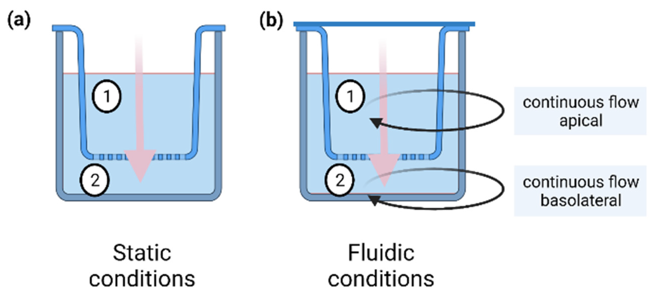Pharmaceuticals 15 00250 g007