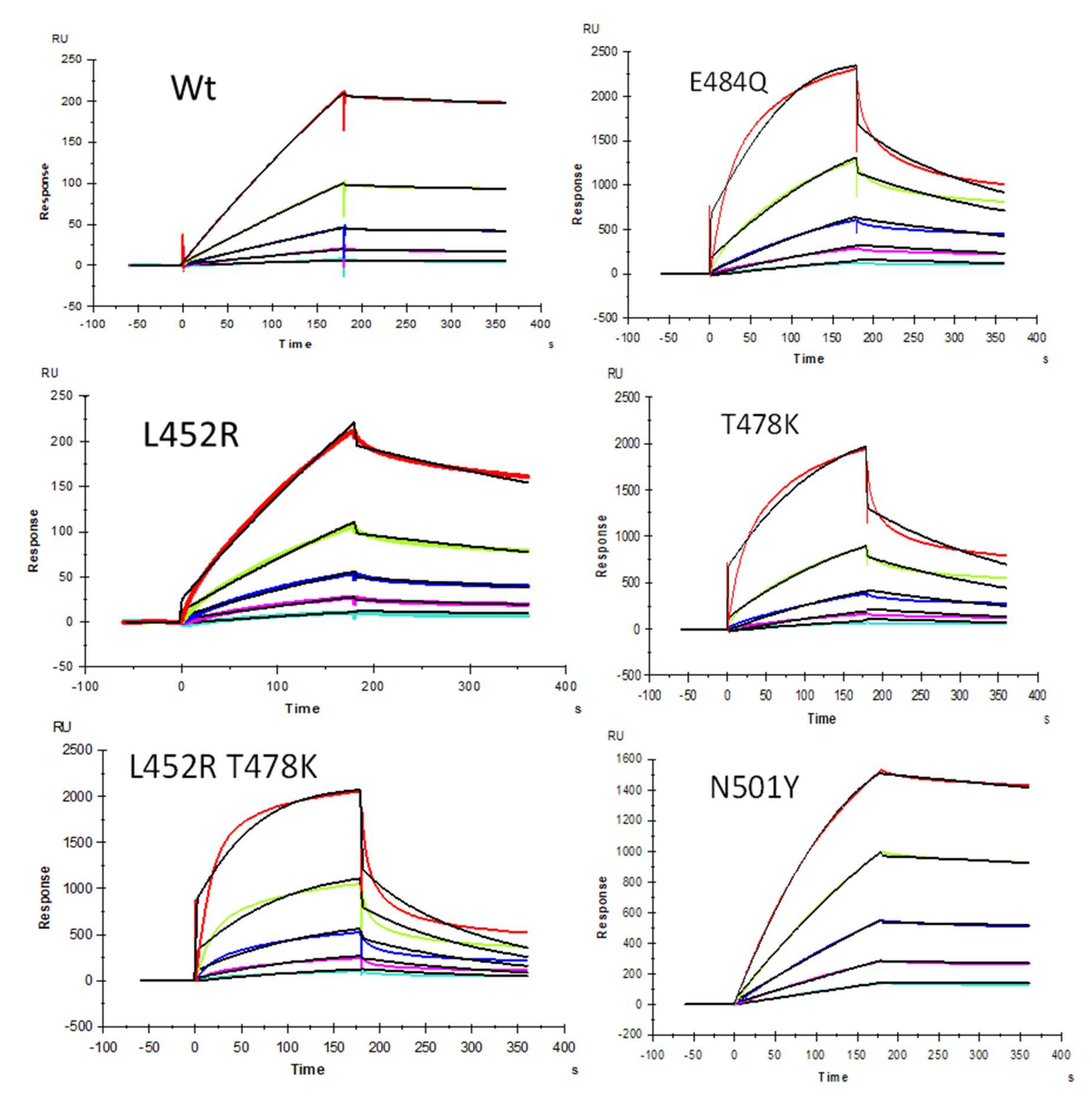 Pharmaceuticals 15 00258 g002