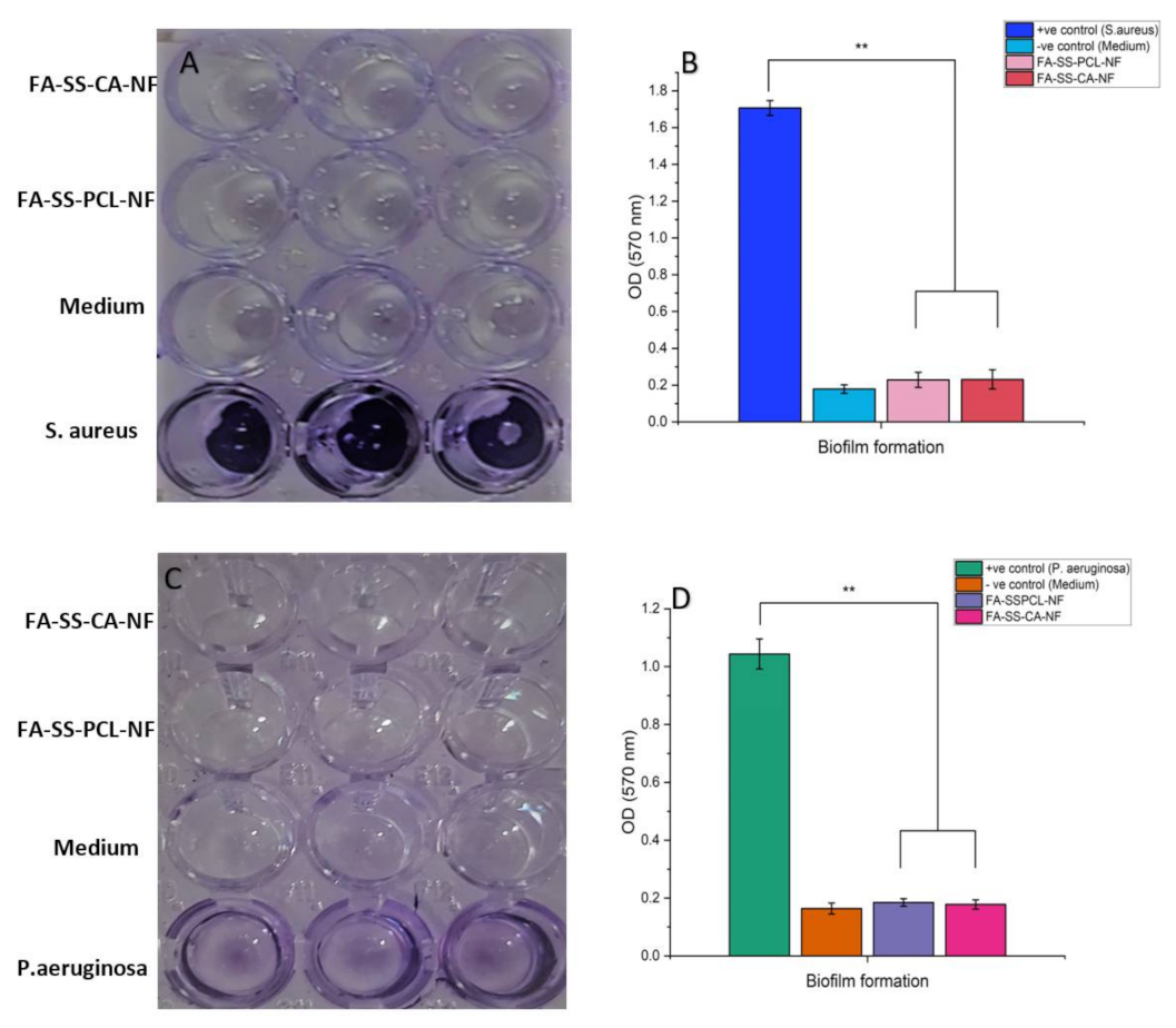 Pharmaceuticals 15 00302 g009