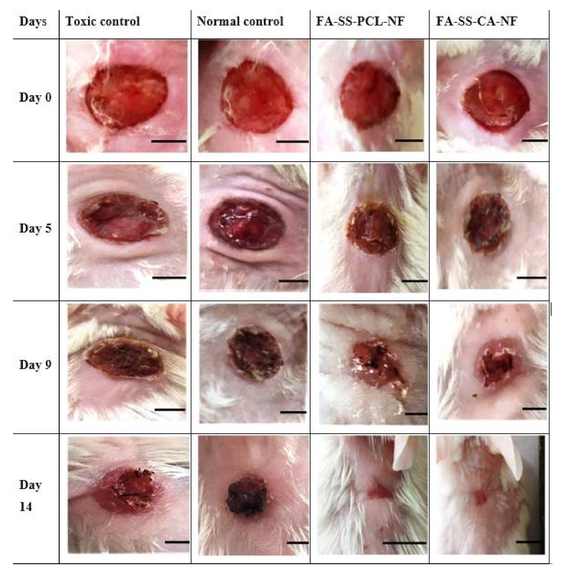 Pharmaceuticals 15 00302 g014