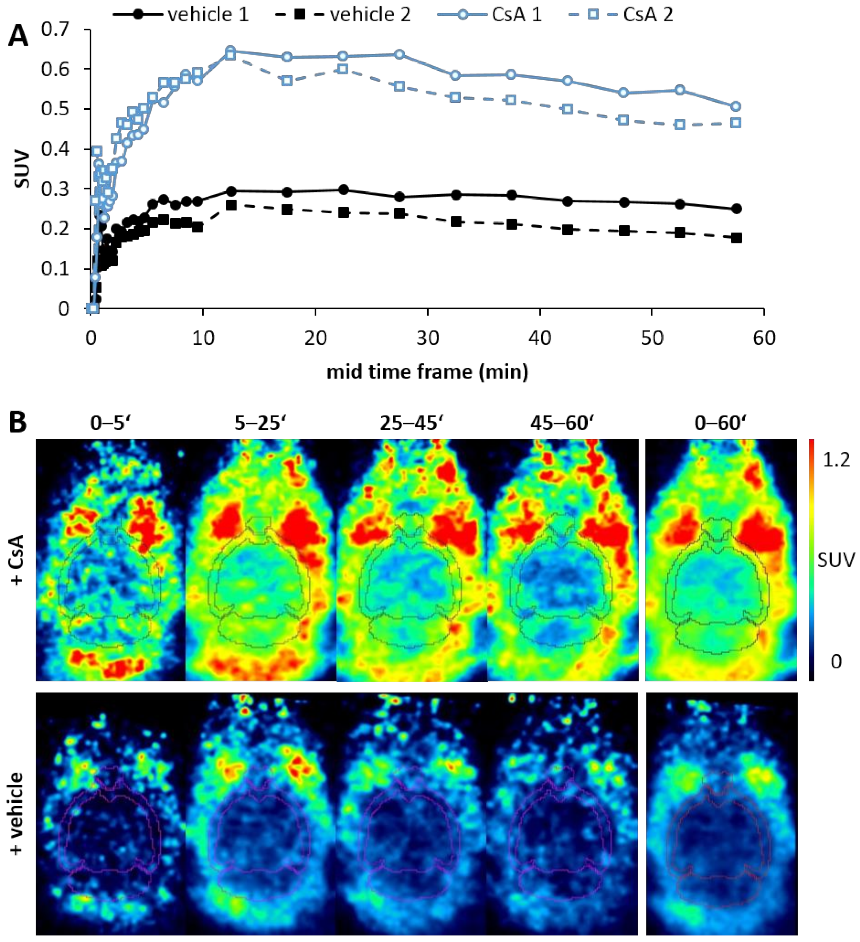 Pharmaceuticals 15 00324 g003