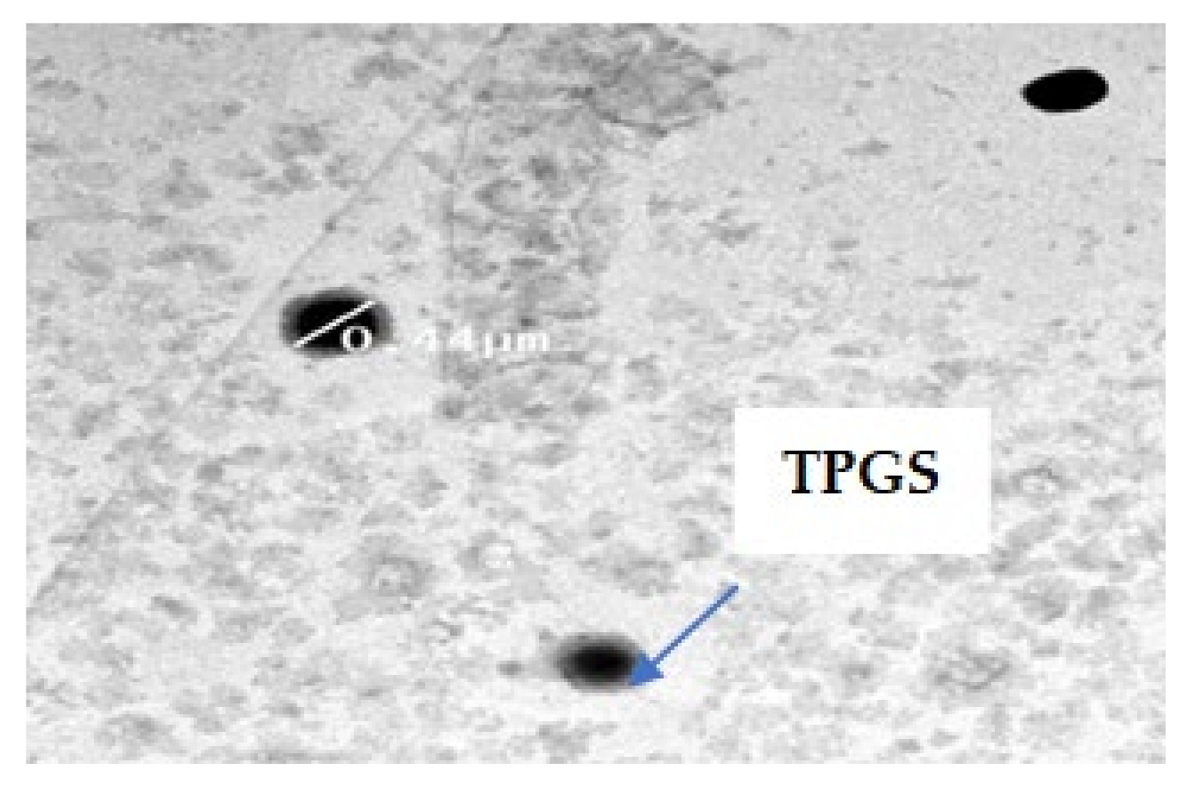 Pharmaceuticals 15 00330 g019