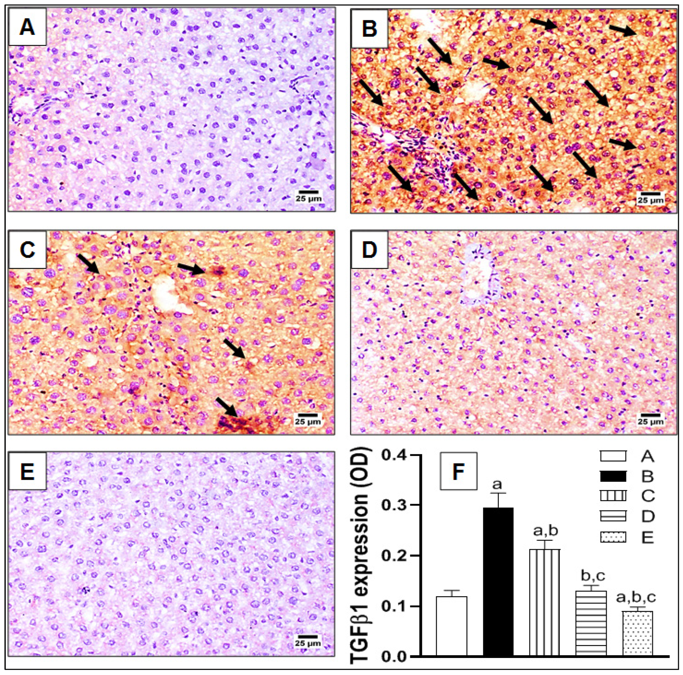 Pharmaceuticals 15 00369 g004 Pharmaceuticals 15 00369 g004