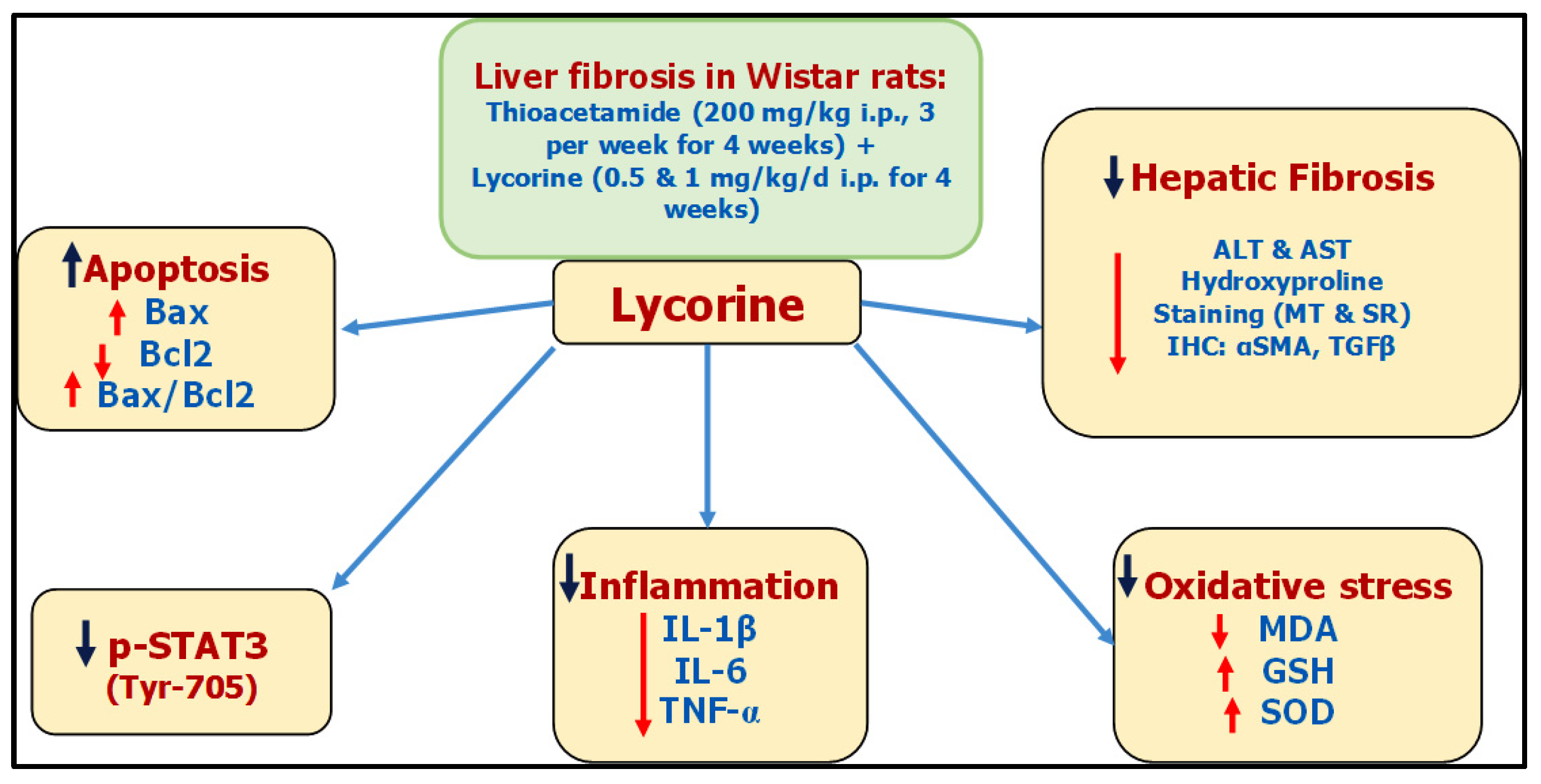 Pharmaceuticals 15 00369 g009 Pharmaceuticals 15 00369 g009