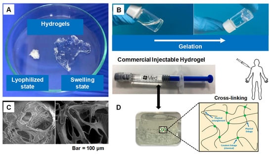 PAD, BREAST FEEDING HYDROGEL (100/CS)