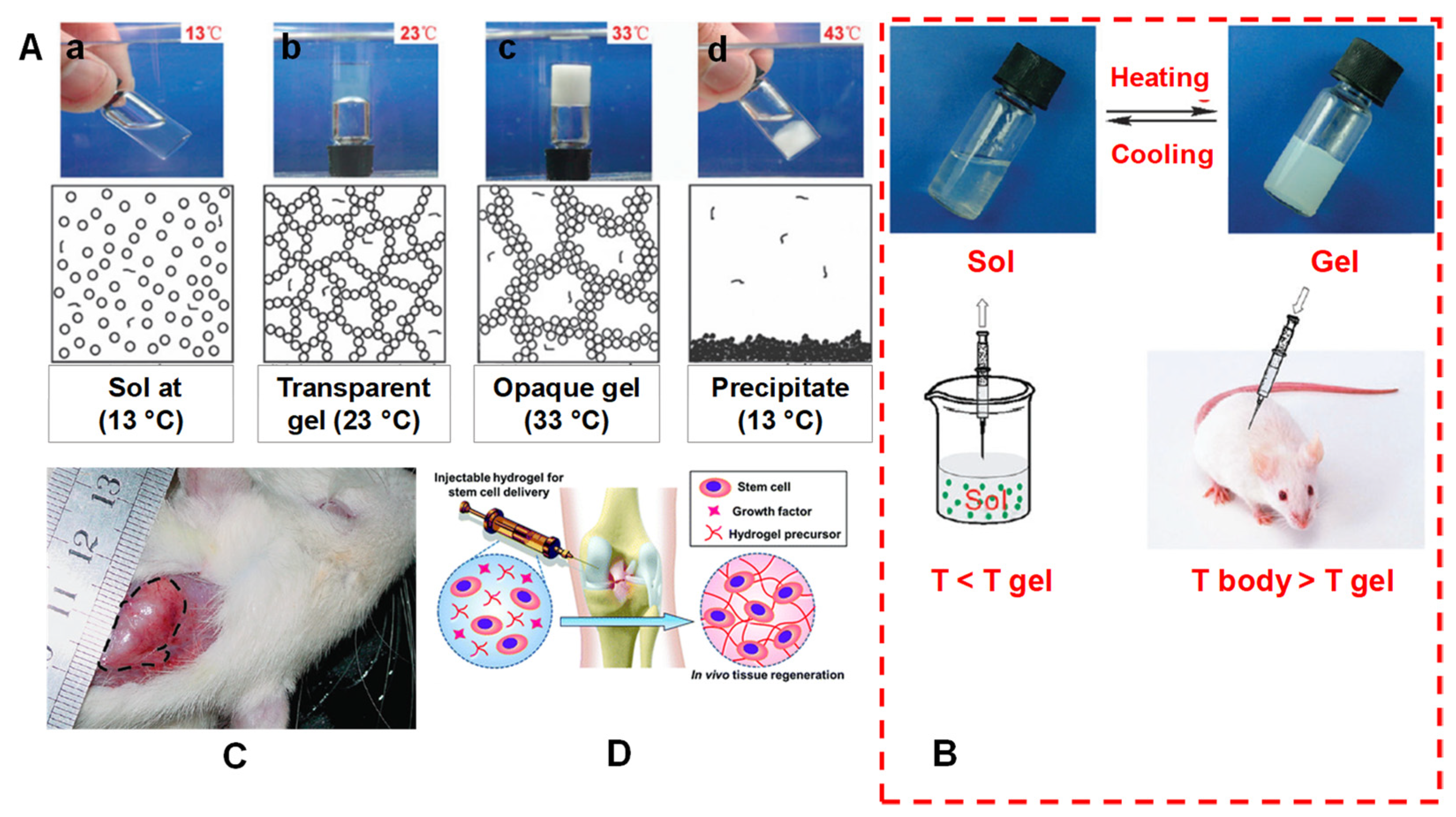 Pharmaceuticals 15 00371 g003