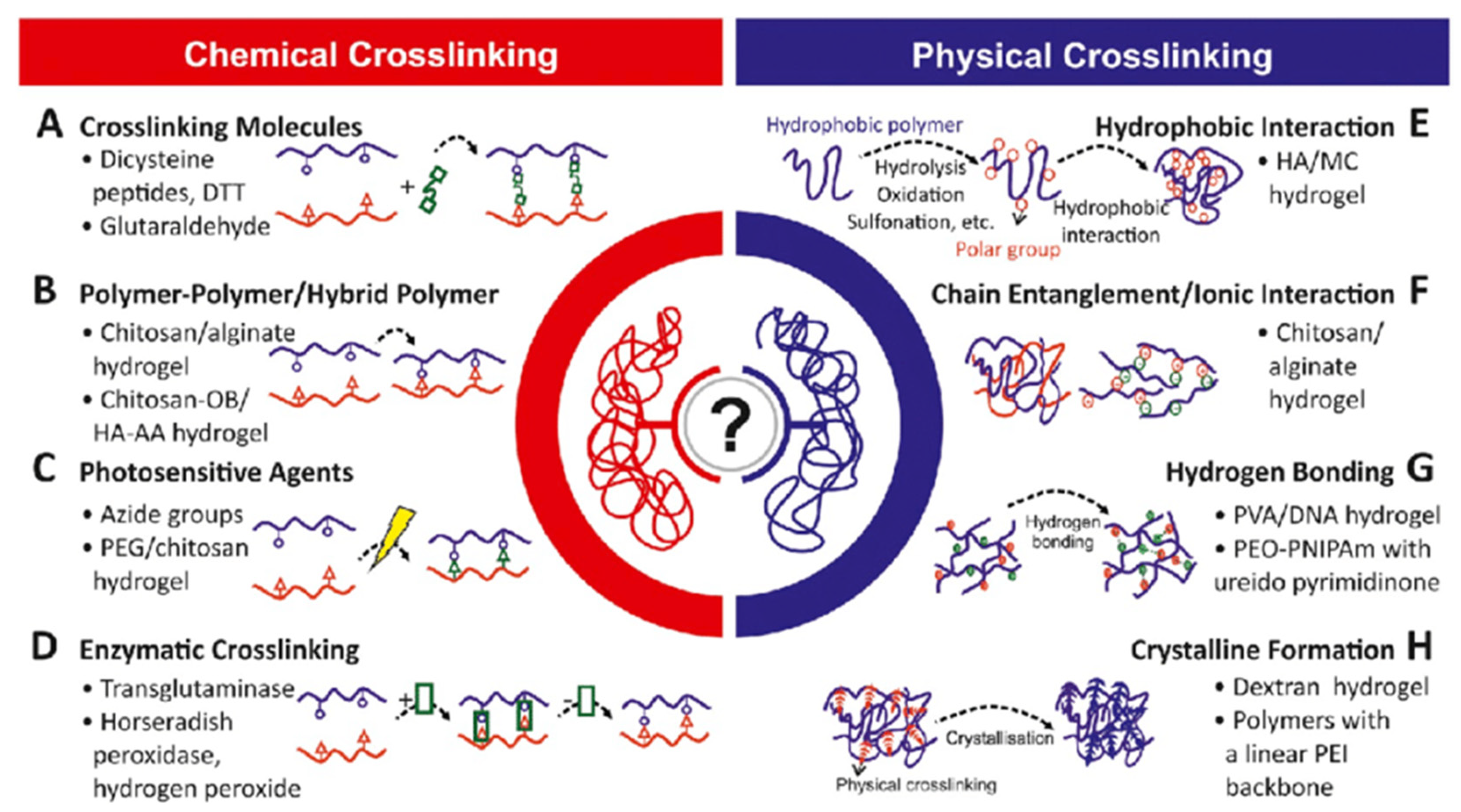Pharmaceuticals 15 00371 g005