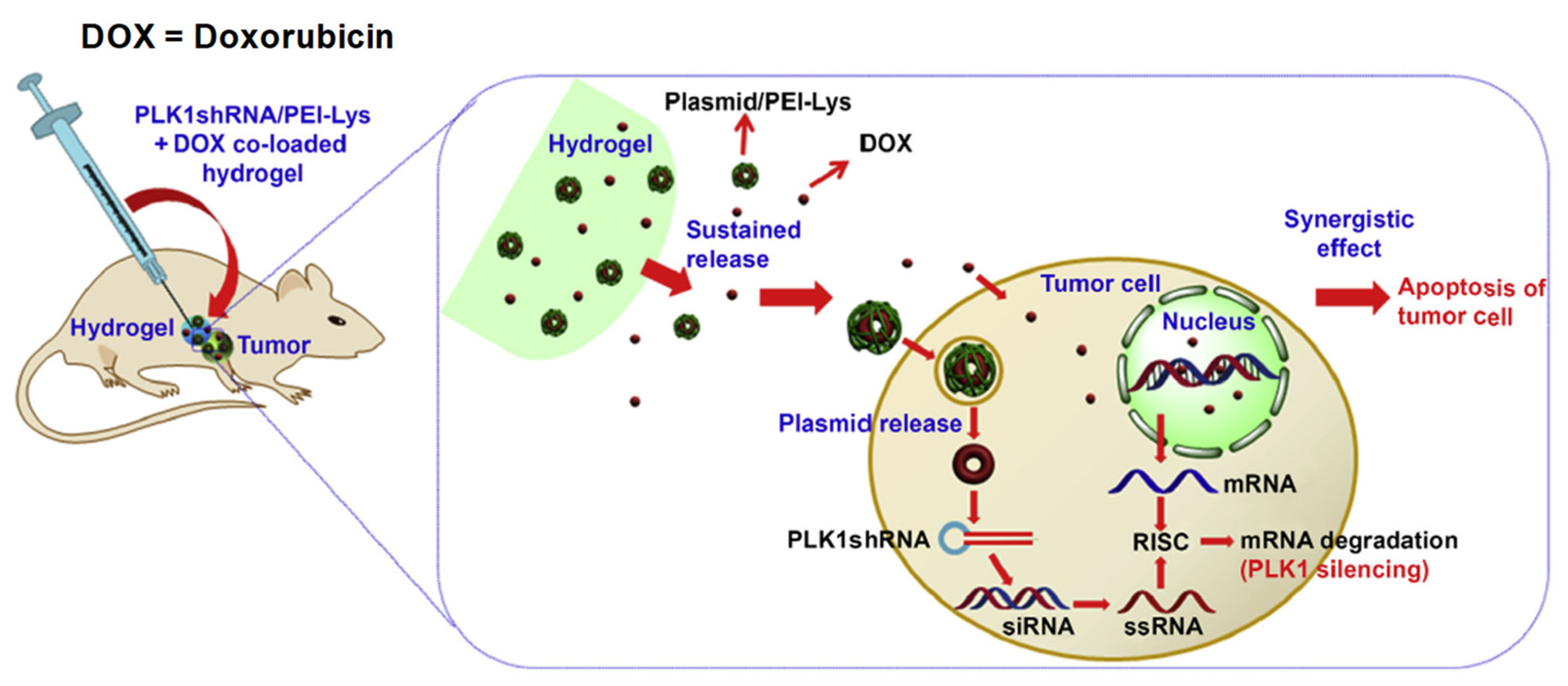 Pharmaceuticals 15 00371 g018