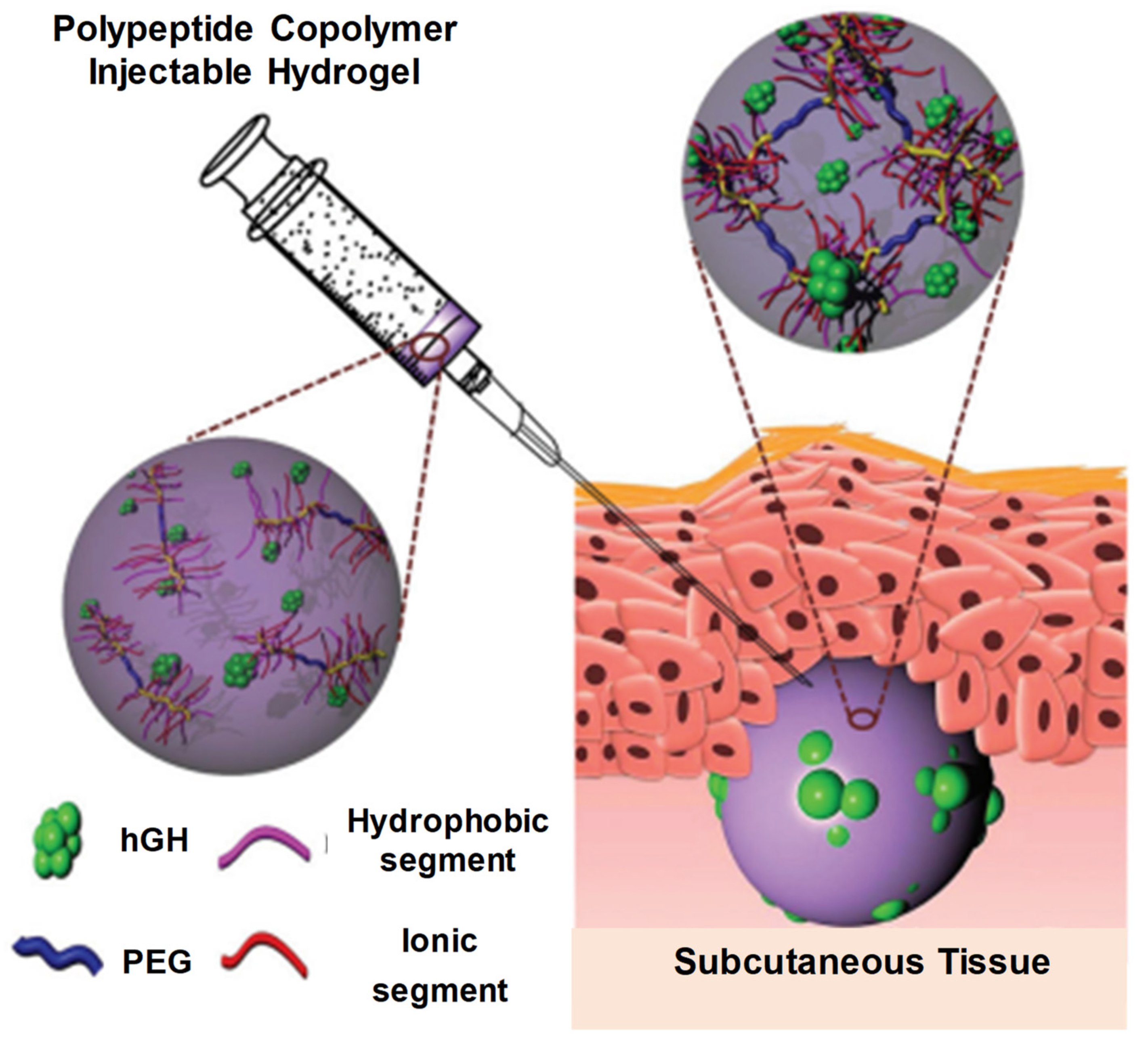 Pharmaceuticals 15 00371 g019
