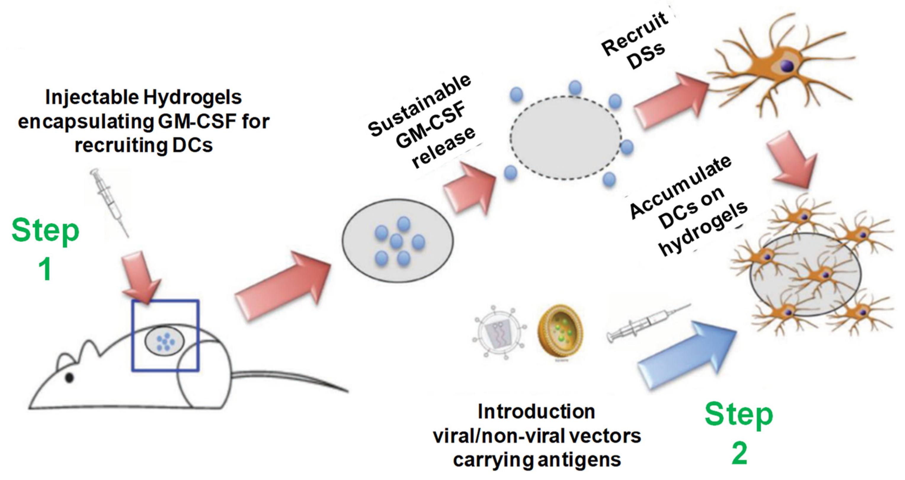 Pharmaceuticals 15 00371 g020