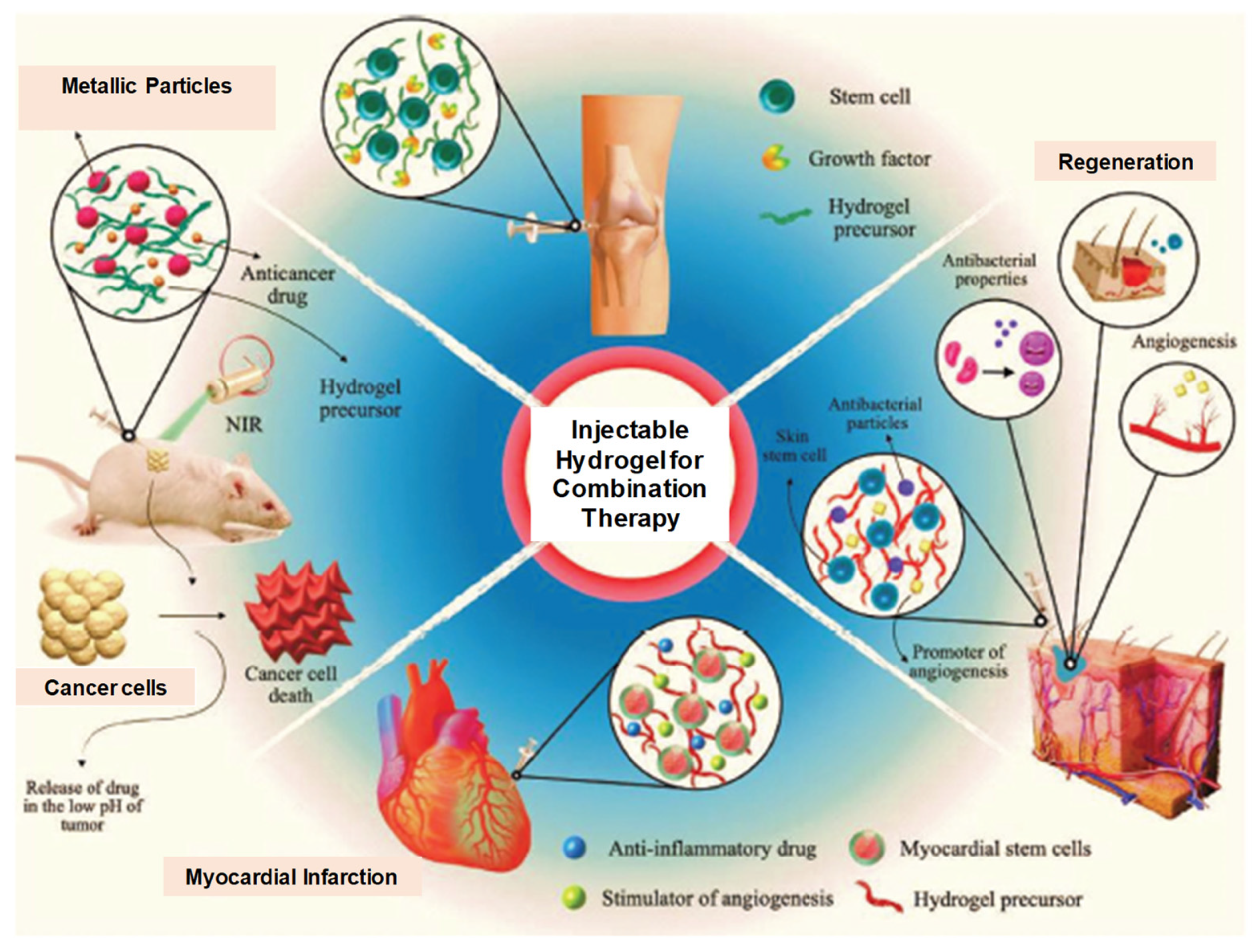 Pharmaceuticals 15 00371 g024