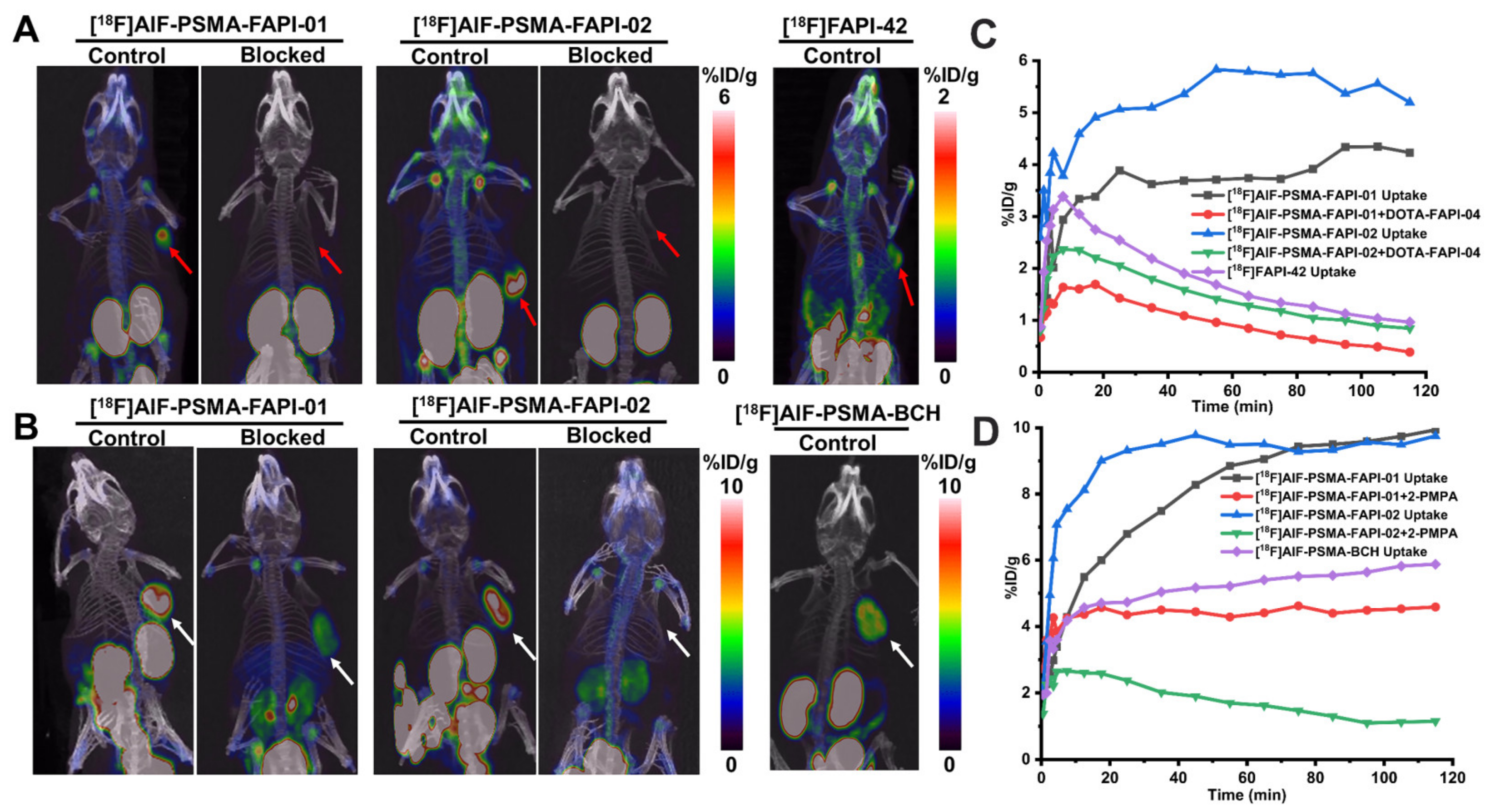Pharmaceuticals 15 00383 g007