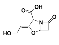 Pharmaceuticals 15 00384 i001 Pharmaceuticals 15 00384 i001