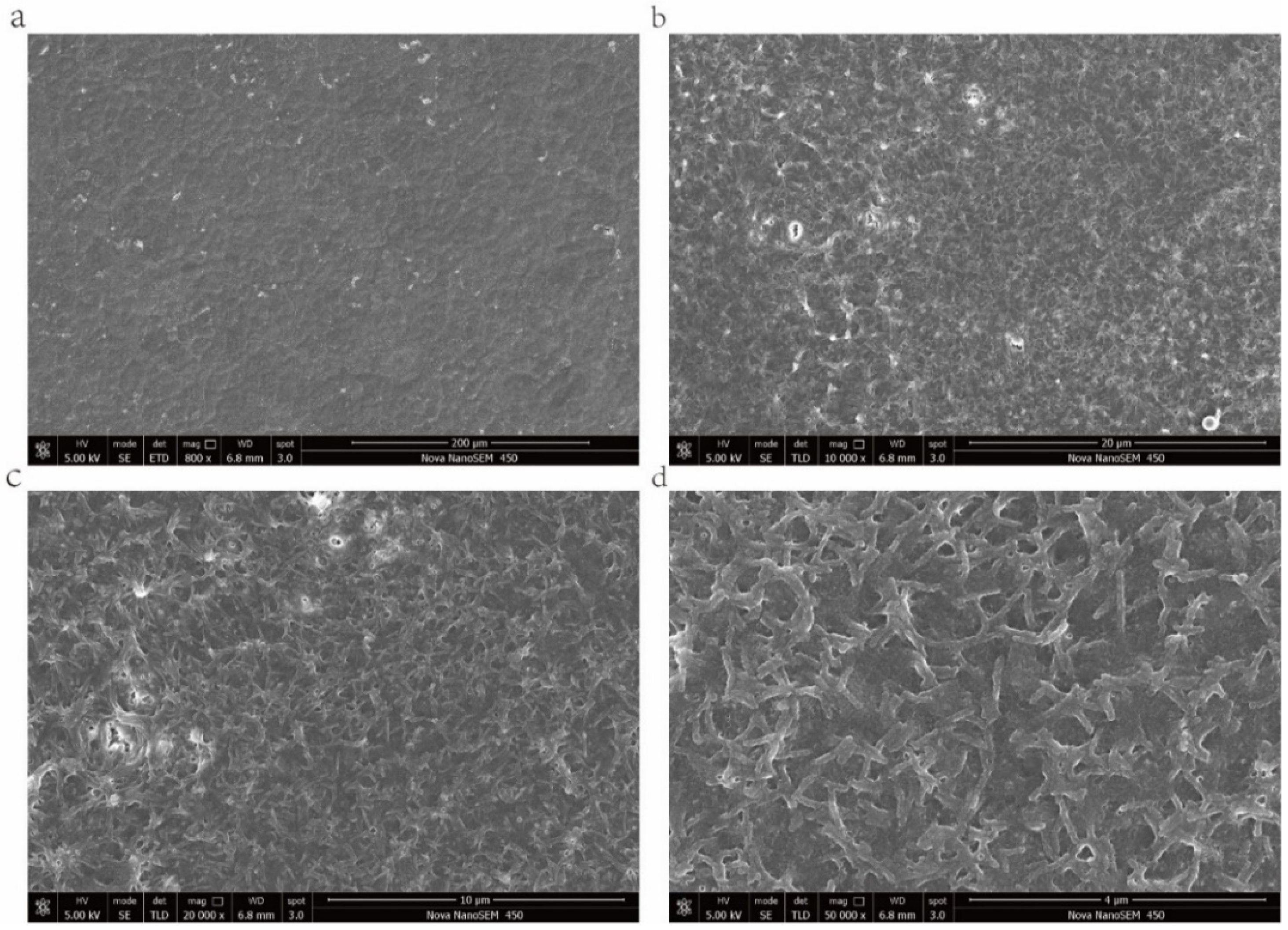 Pharmaceuticals 15 00418 g004