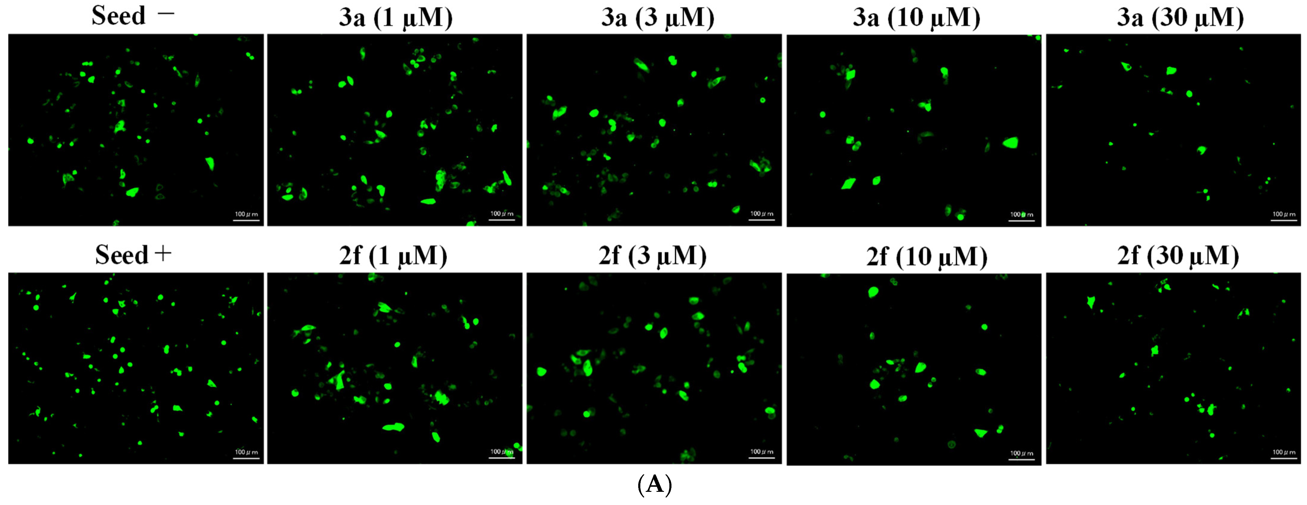 Pharmaceuticals 15 00426 g009a