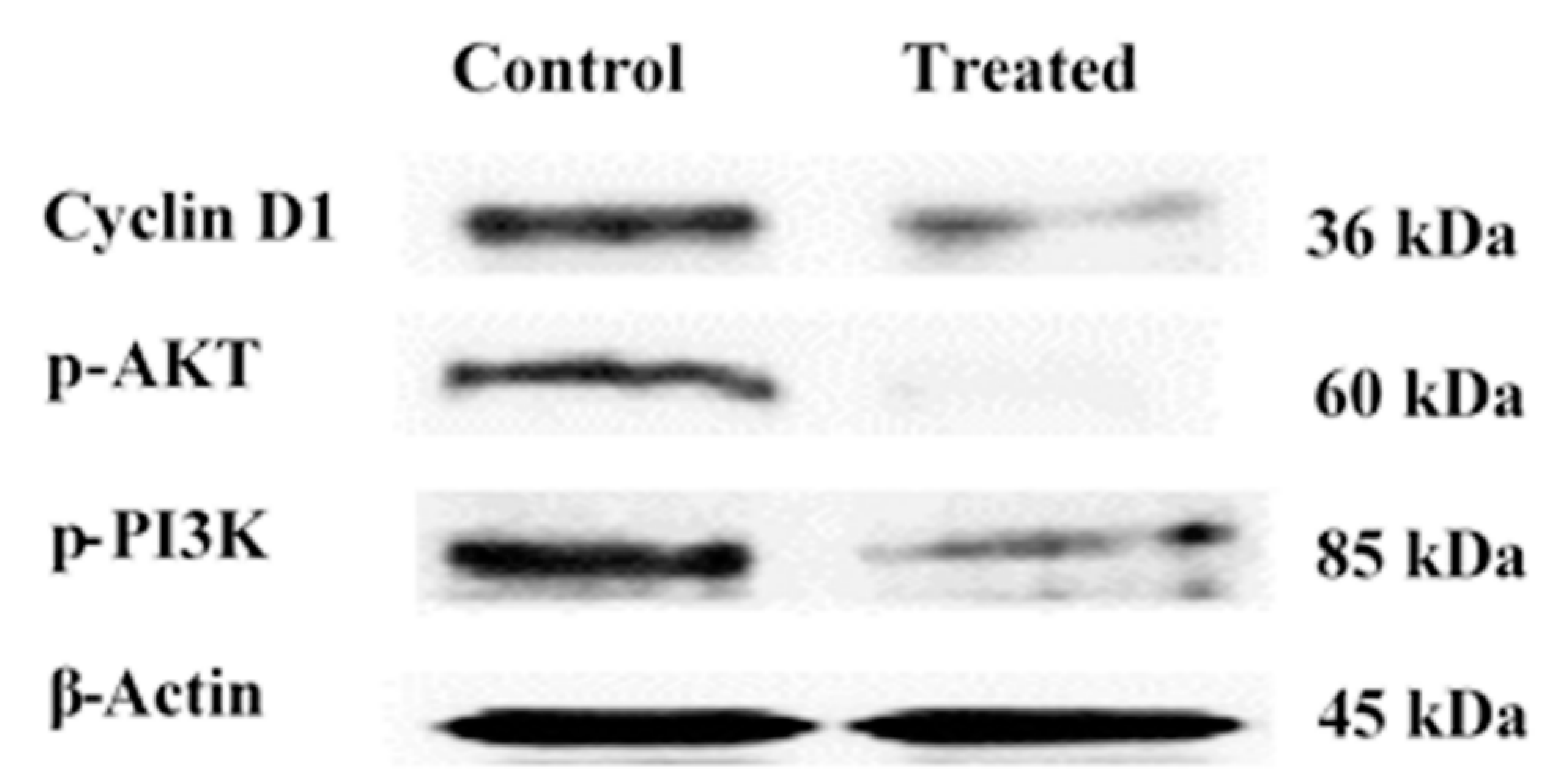 Pharmaceuticals 15 00428 g006