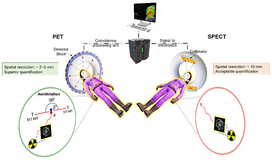 One-Step, Rapid, 18F–19F Isotopic Exchange Radiolabeling of  Difluoro-dioxaborinins: Substituent Effect on Stability and In Vivo  Applications