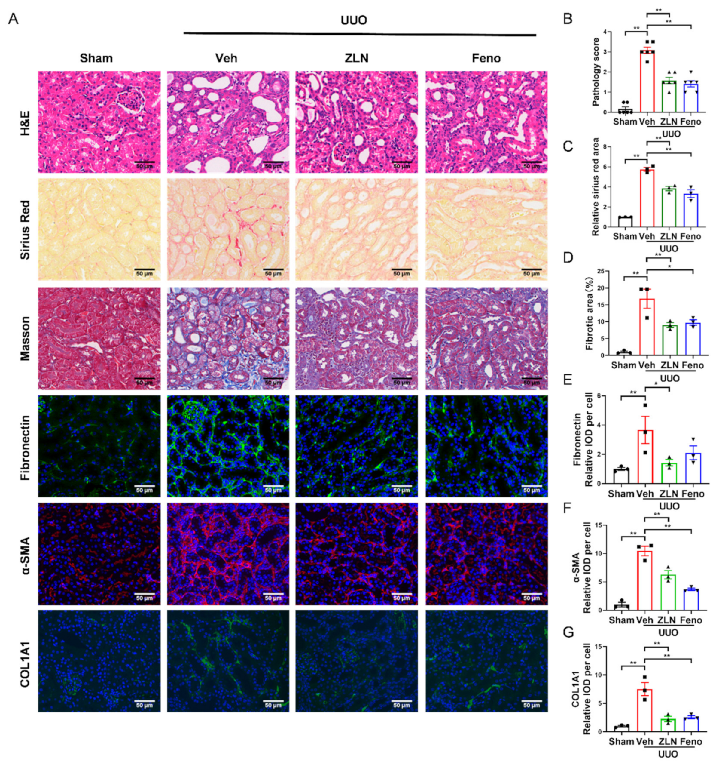 Pharmaceuticals 15 00434 g001