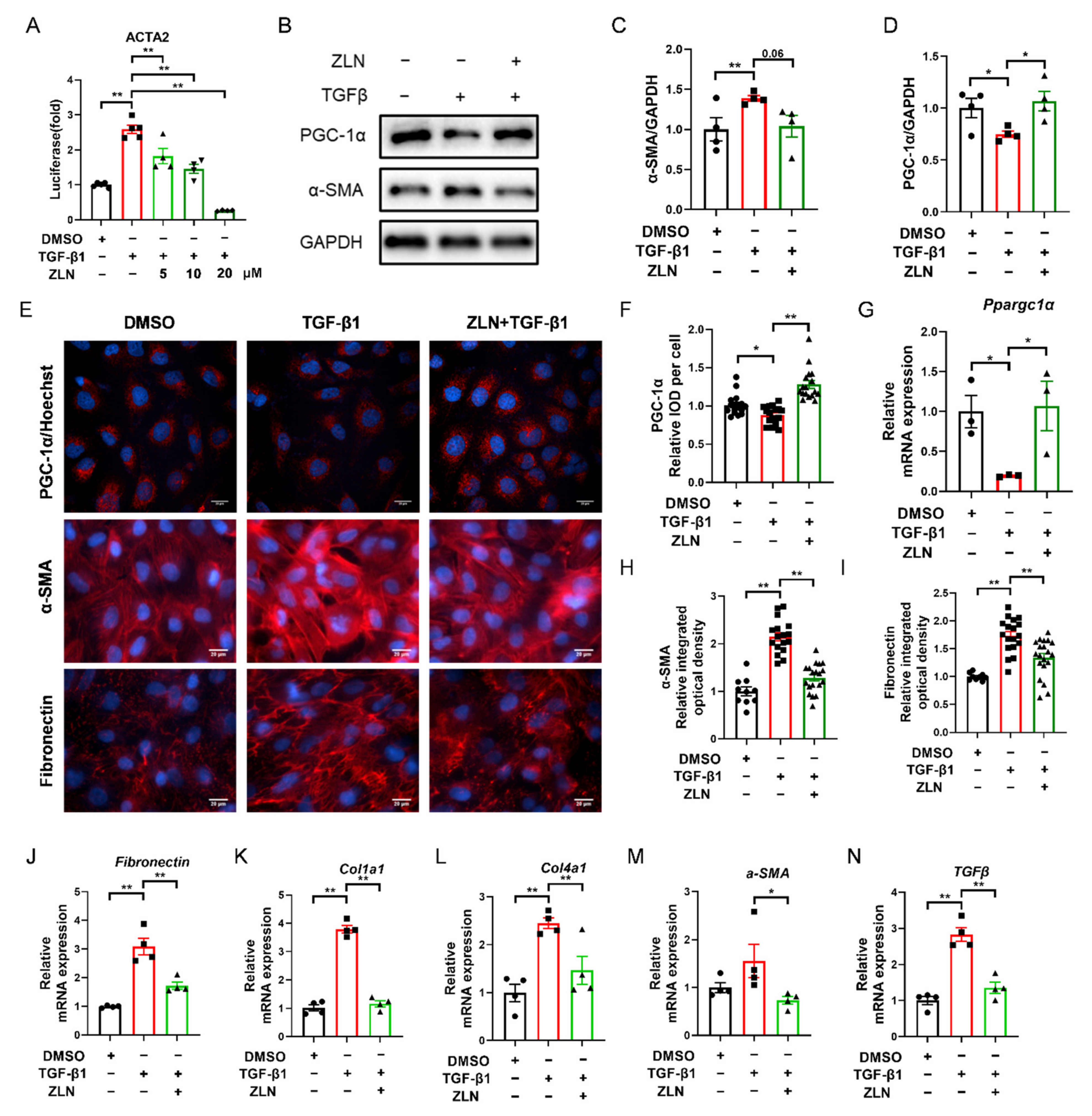 Pharmaceuticals 15 00434 g004