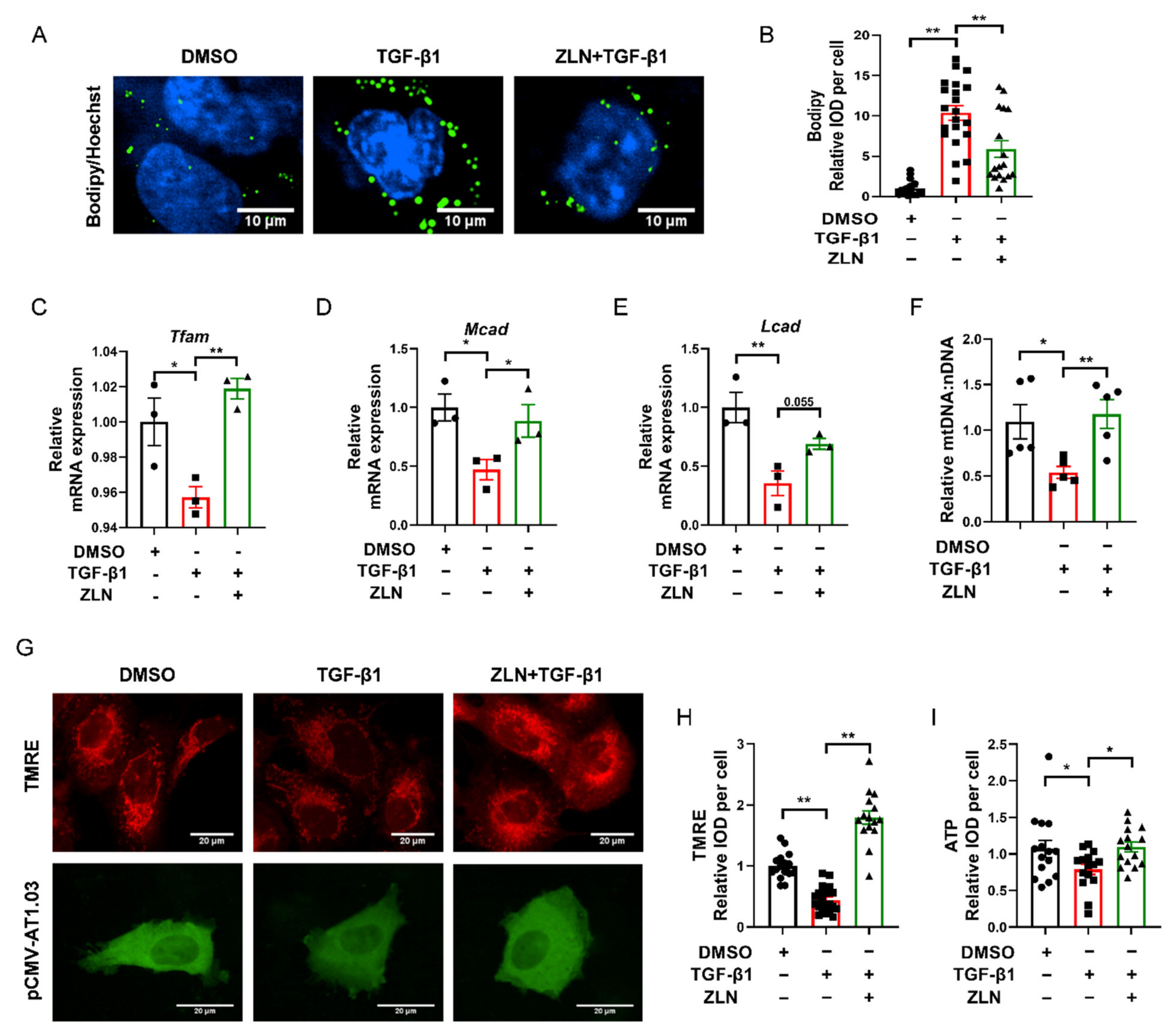Pharmaceuticals 15 00434 g005