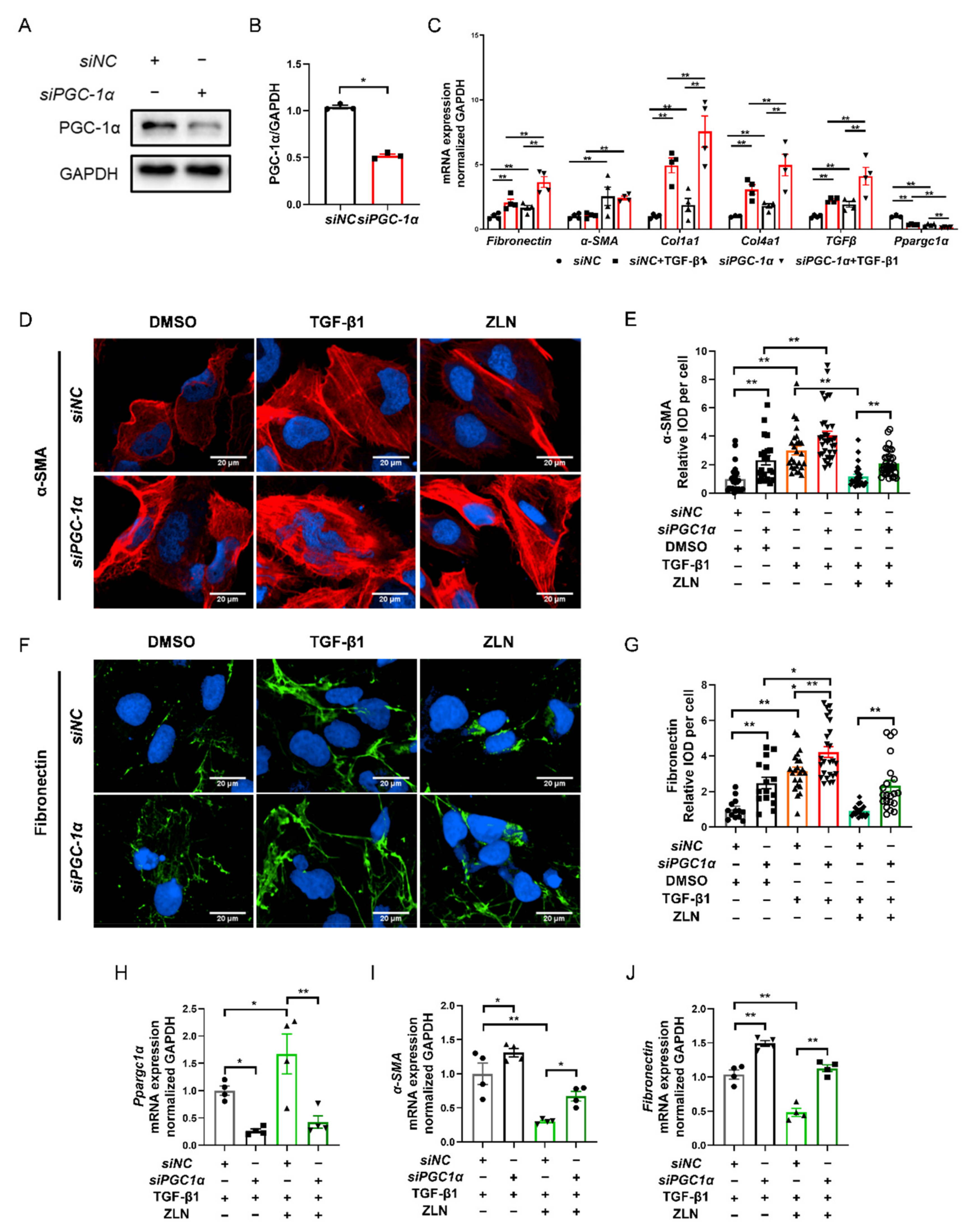 Pharmaceuticals 15 00434 g006