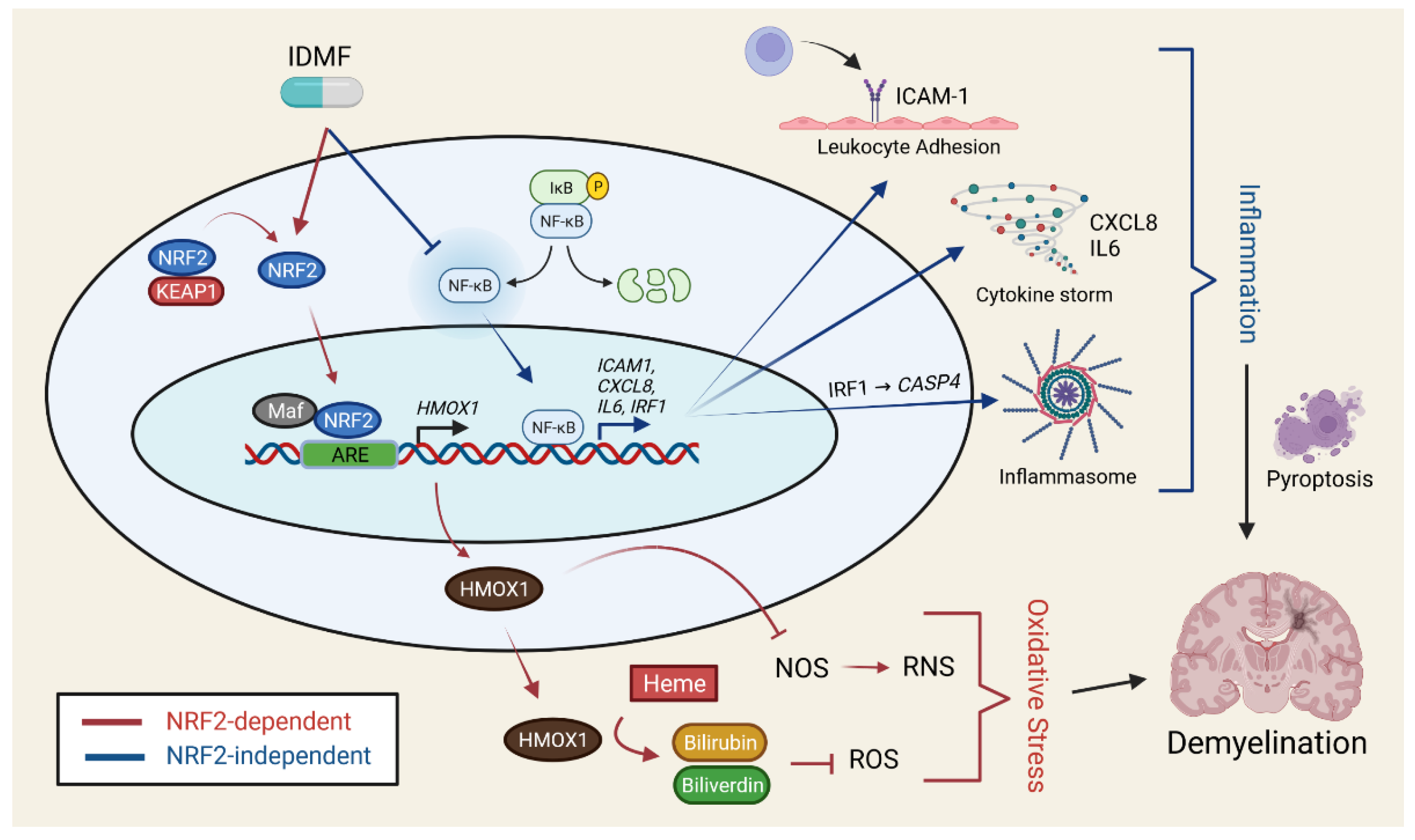 Pharmaceuticals 15 00461 g009 Pharmaceuticals 15 00461 g009