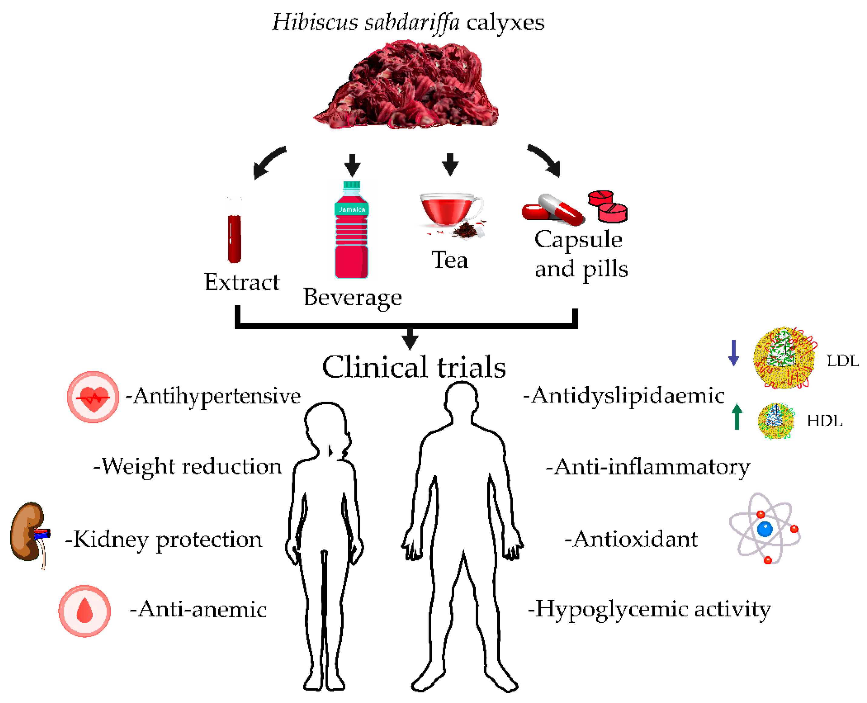 Pharmaceuticals Free Full Text Physiological Effects and Human