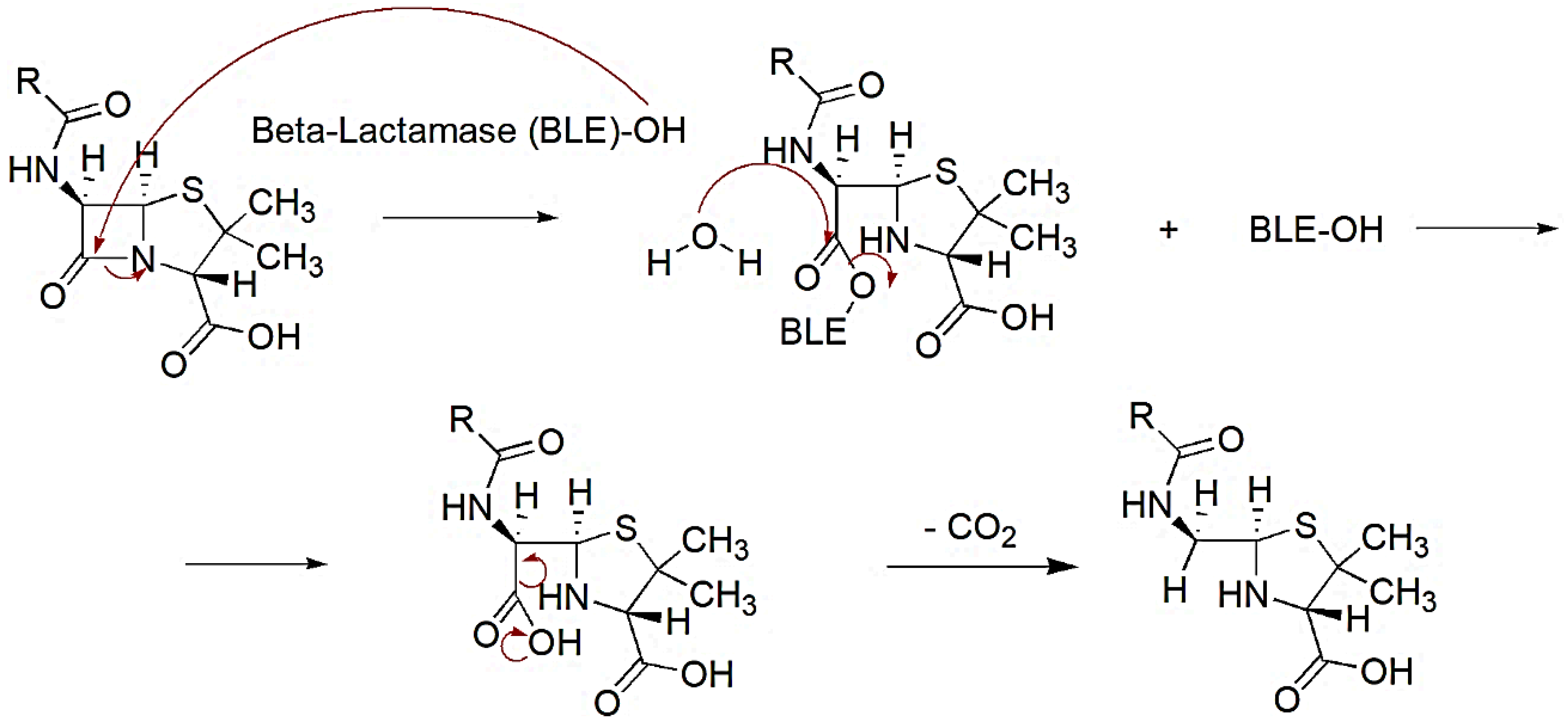 Pharmaceuticals 15 00476 sch001 Pharmaceuticals 15 00476 sch001