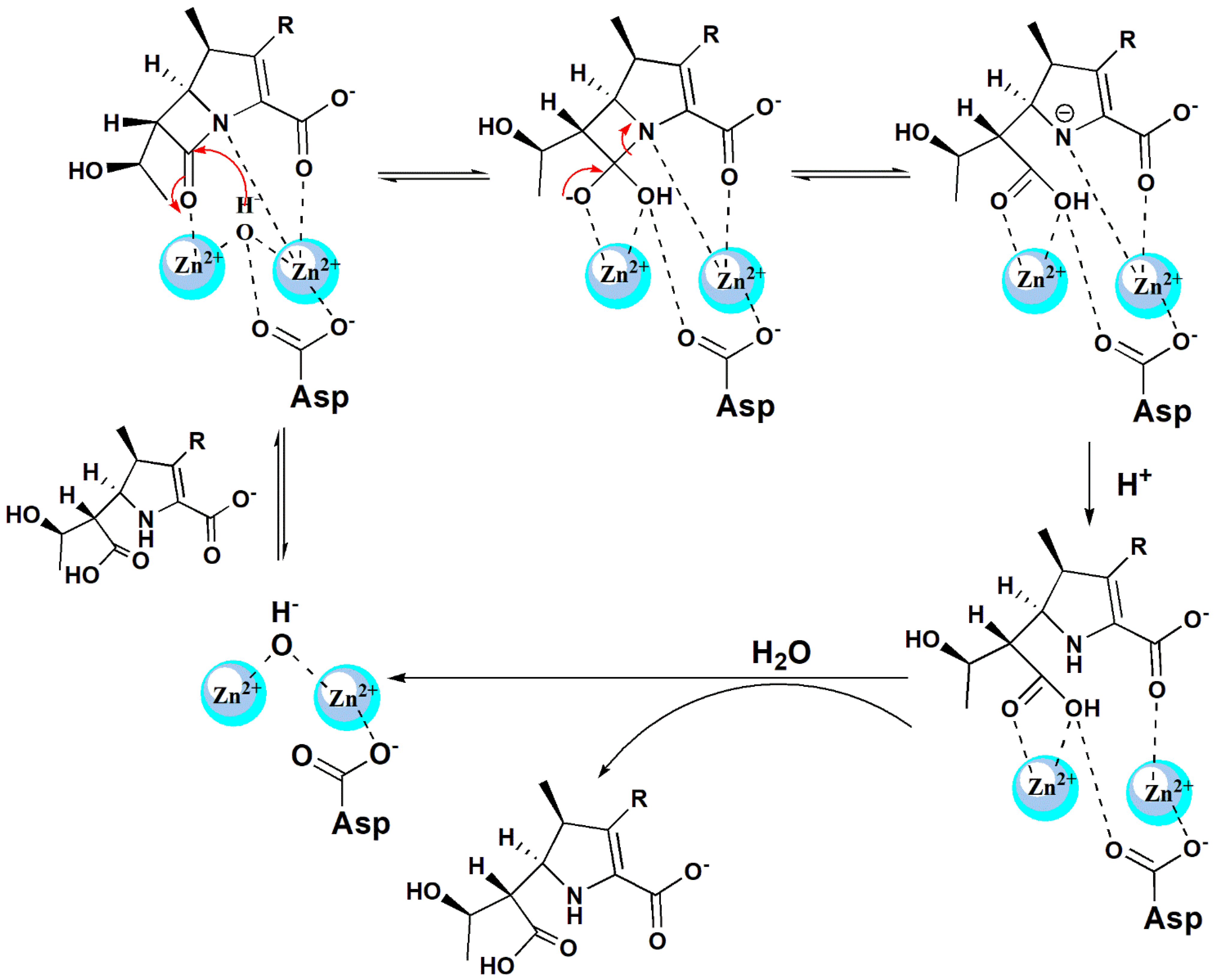 Pharmaceuticals 15 00476 sch002 Pharmaceuticals 15 00476 sch002