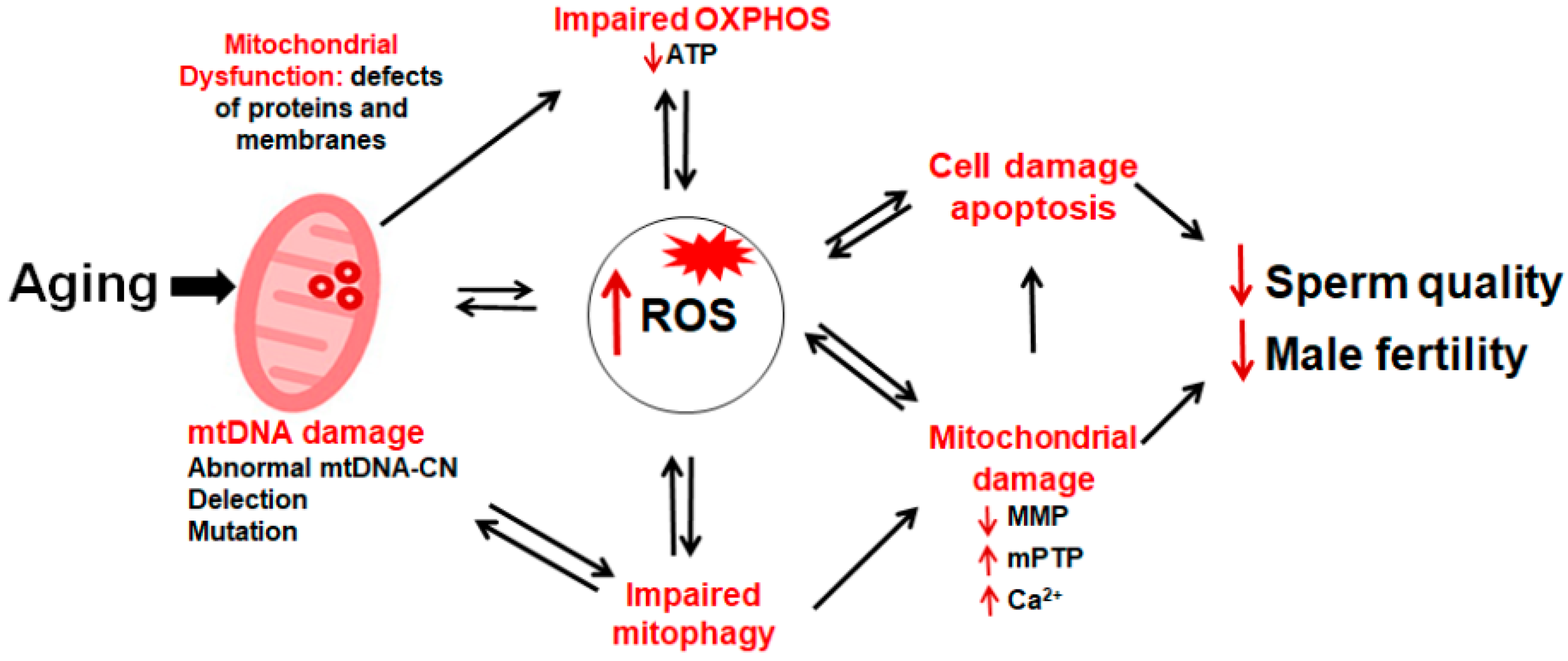 Pharmaceuticals 15 00519 g004 Pharmaceuticals 15 00519 g004