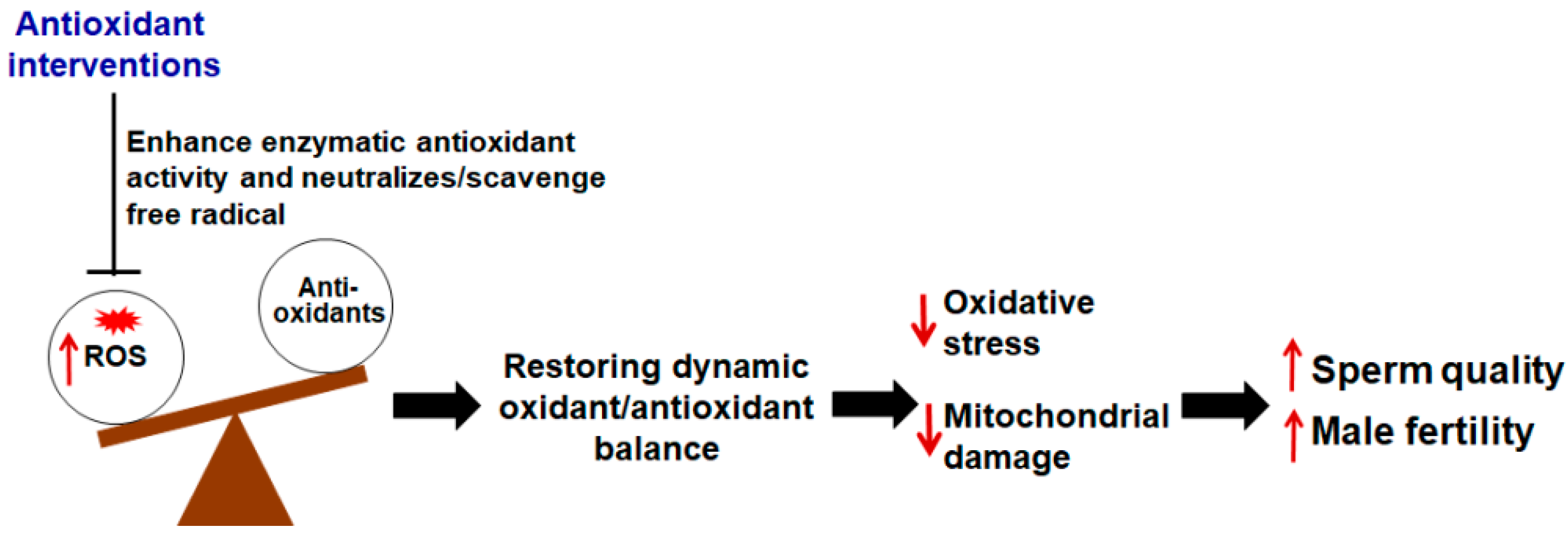 Pharmaceuticals 15 00519 g005 Pharmaceuticals 15 00519 g005