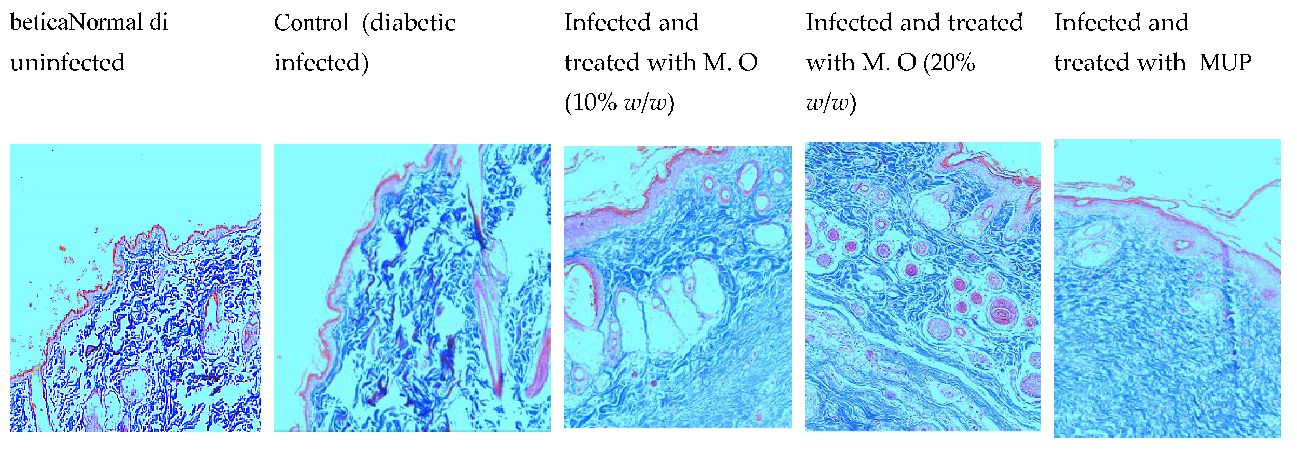Pharmaceuticals 15 00528 g006