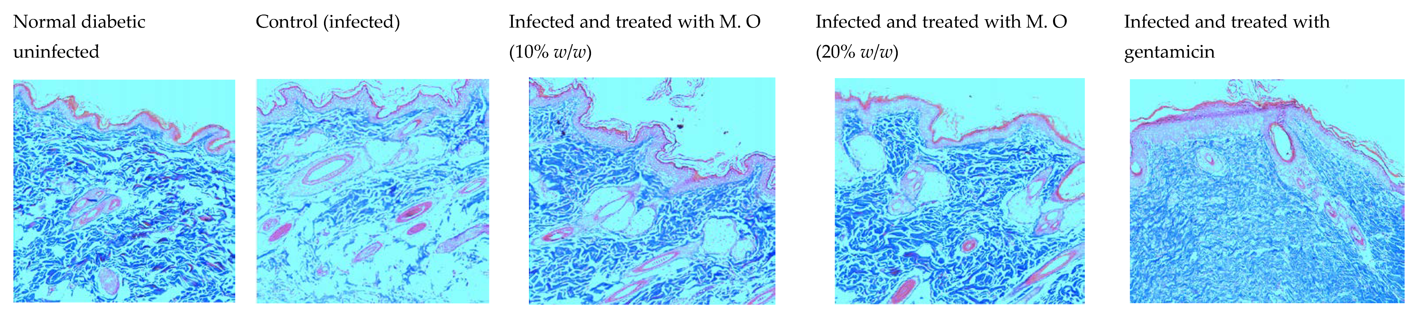 Pharmaceuticals 15 00528 g011