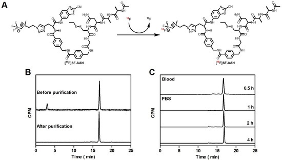 One-Step, Rapid, 18F–19F Isotopic Exchange Radiolabeling of  Difluoro-dioxaborinins: Substituent Effect on Stability and In Vivo  Applications