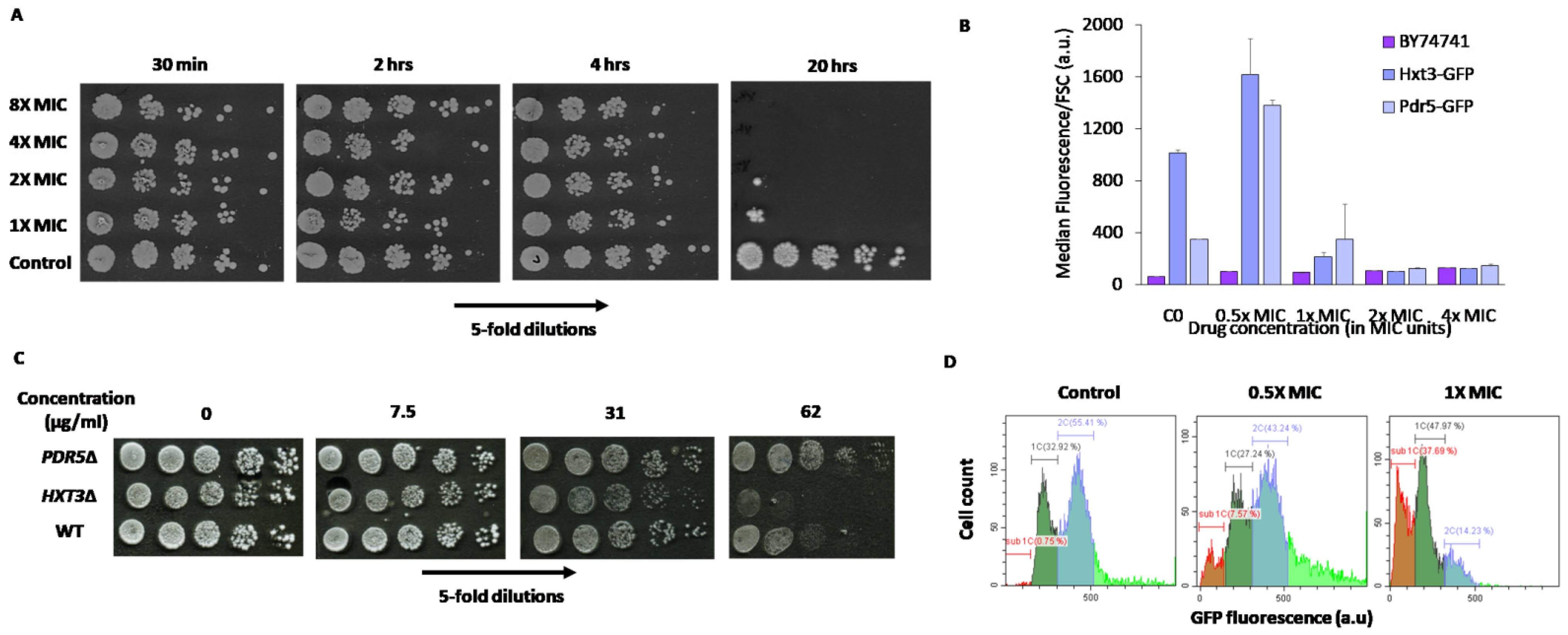 Pharmaceuticals 15 00563 g005