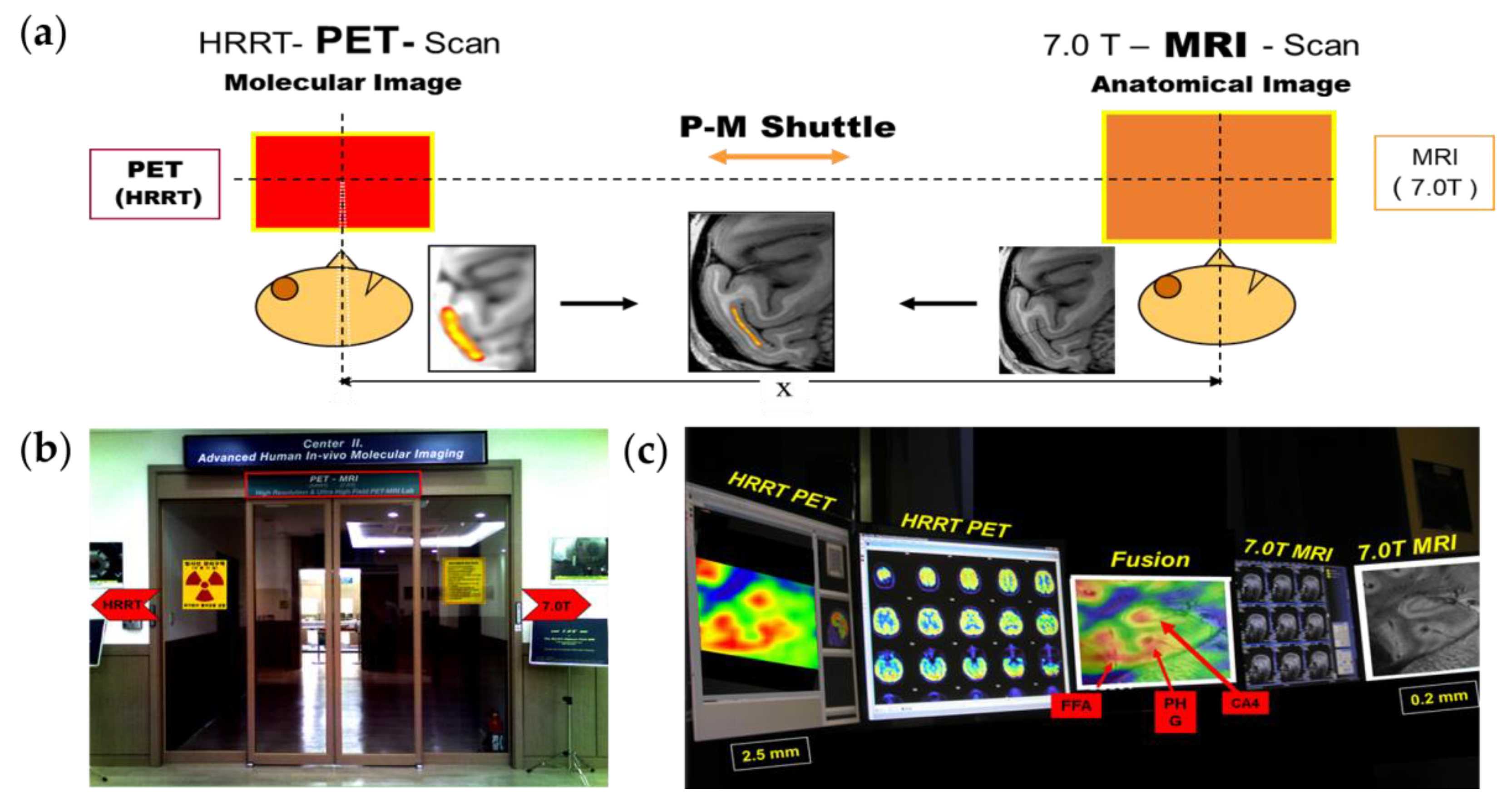 Pharmaceuticals 15 00583 g004