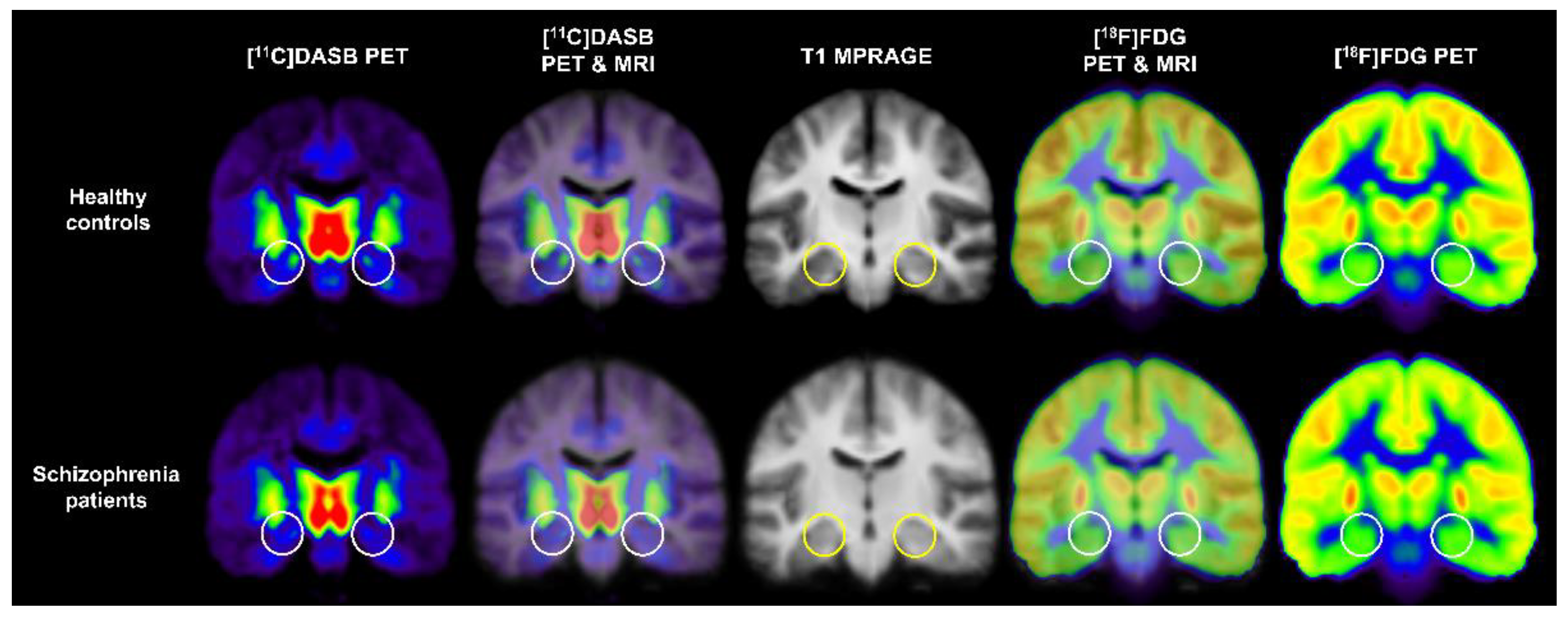 Pharmaceuticals 15 00583 g007