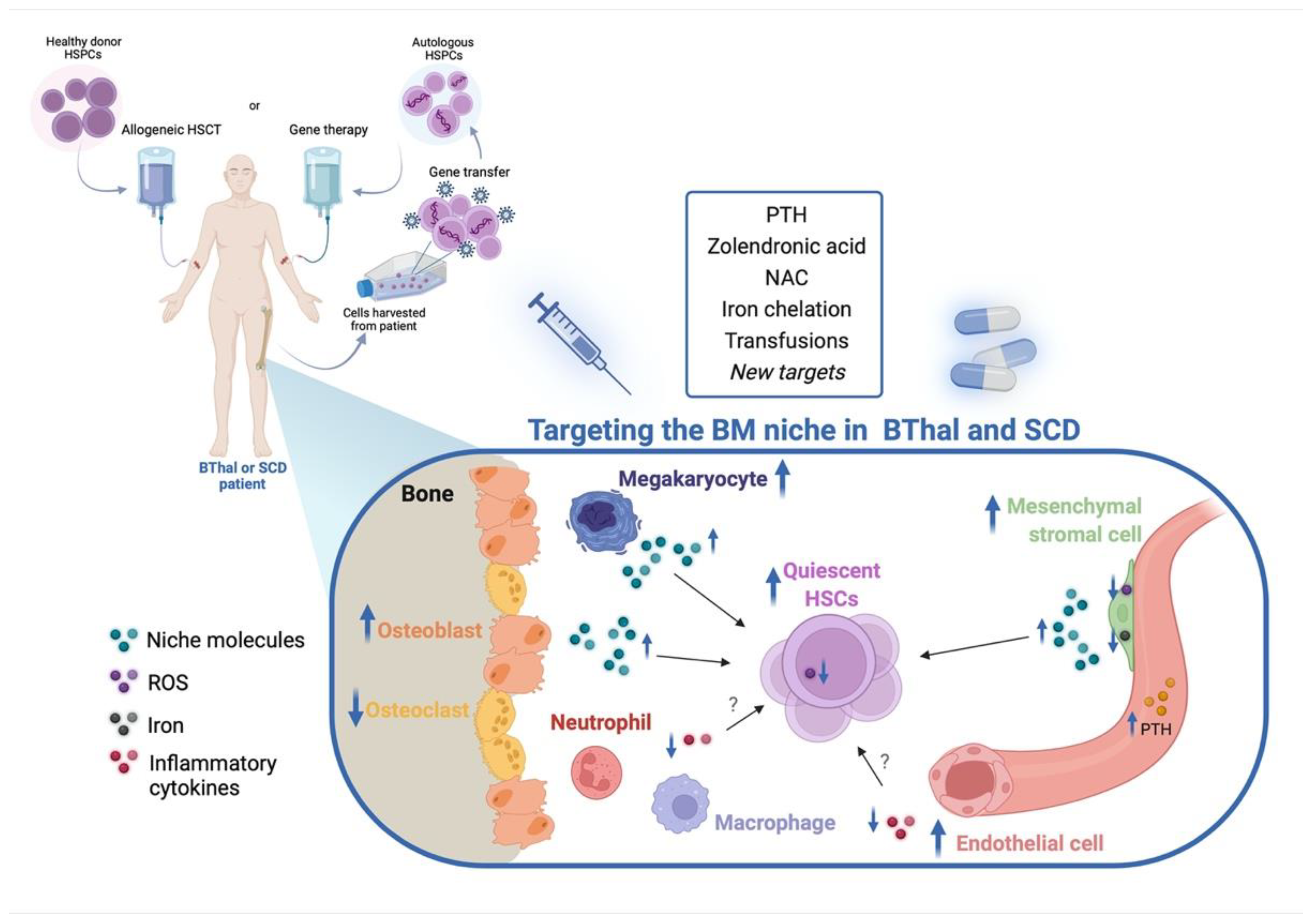 Pharmaceuticals 15 00592 g002 Pharmaceuticals 15 00592 g002