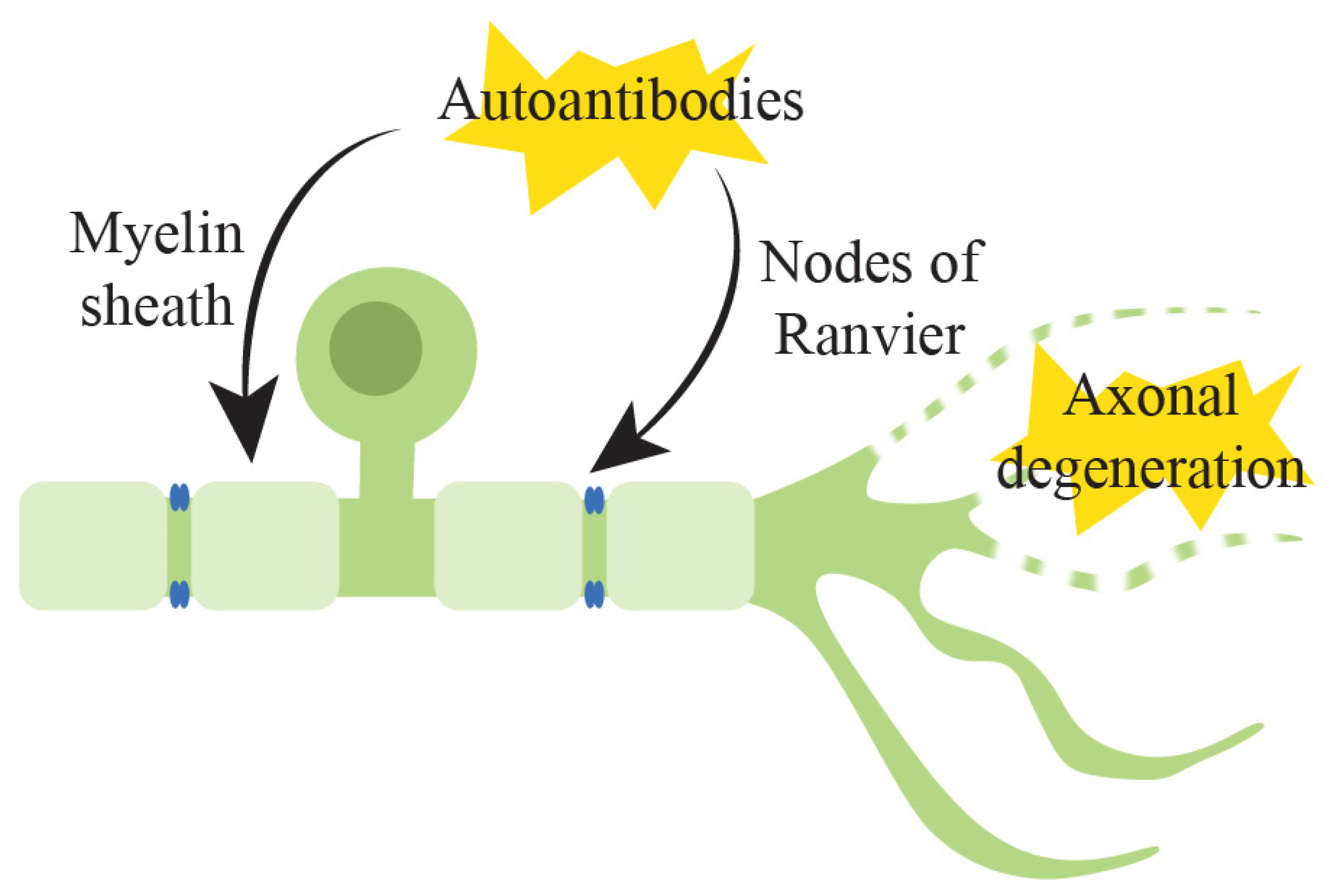 Pharmaceuticals 15 00607 g002