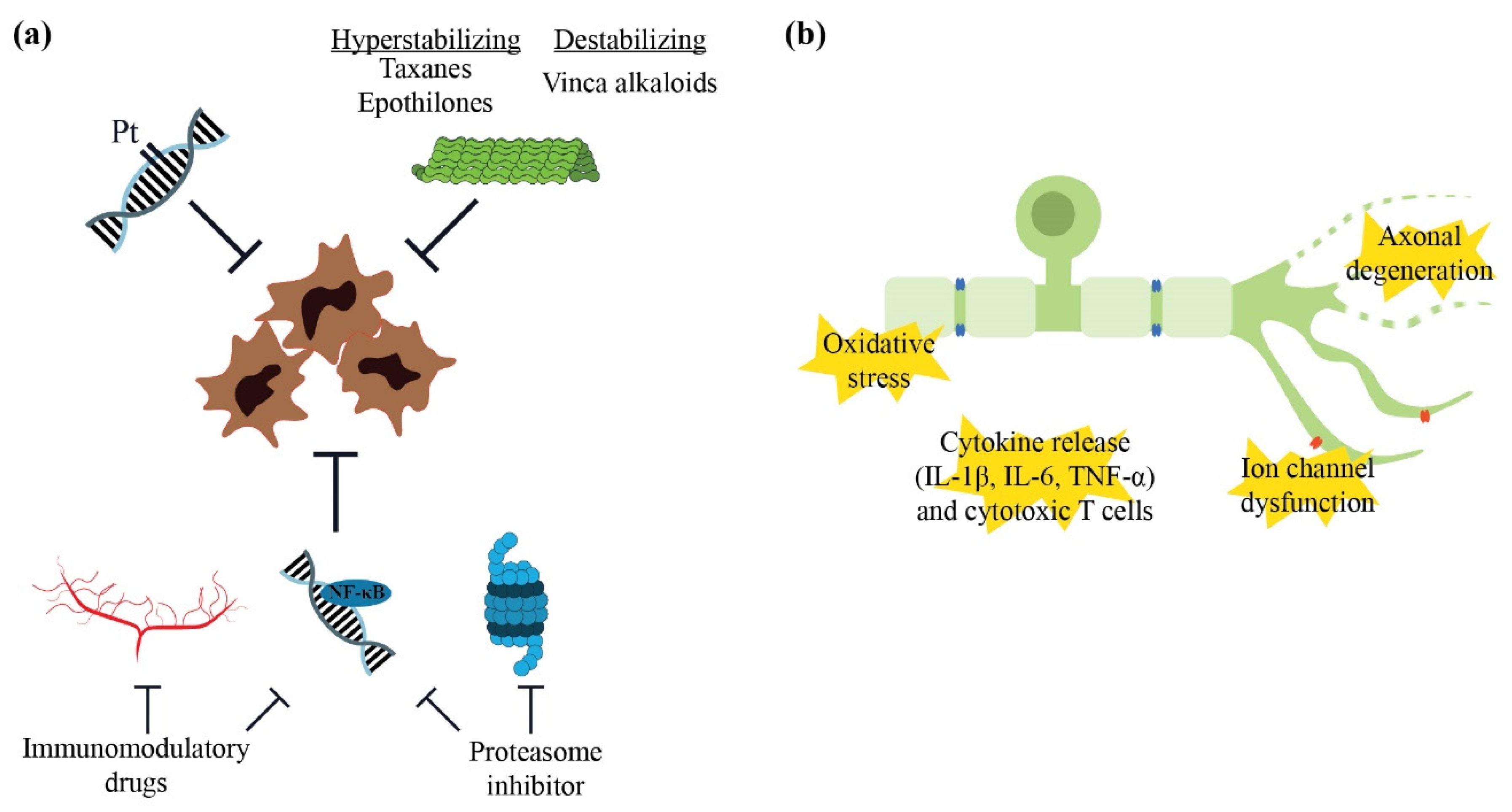 Pharmaceuticals 15 00607 g003