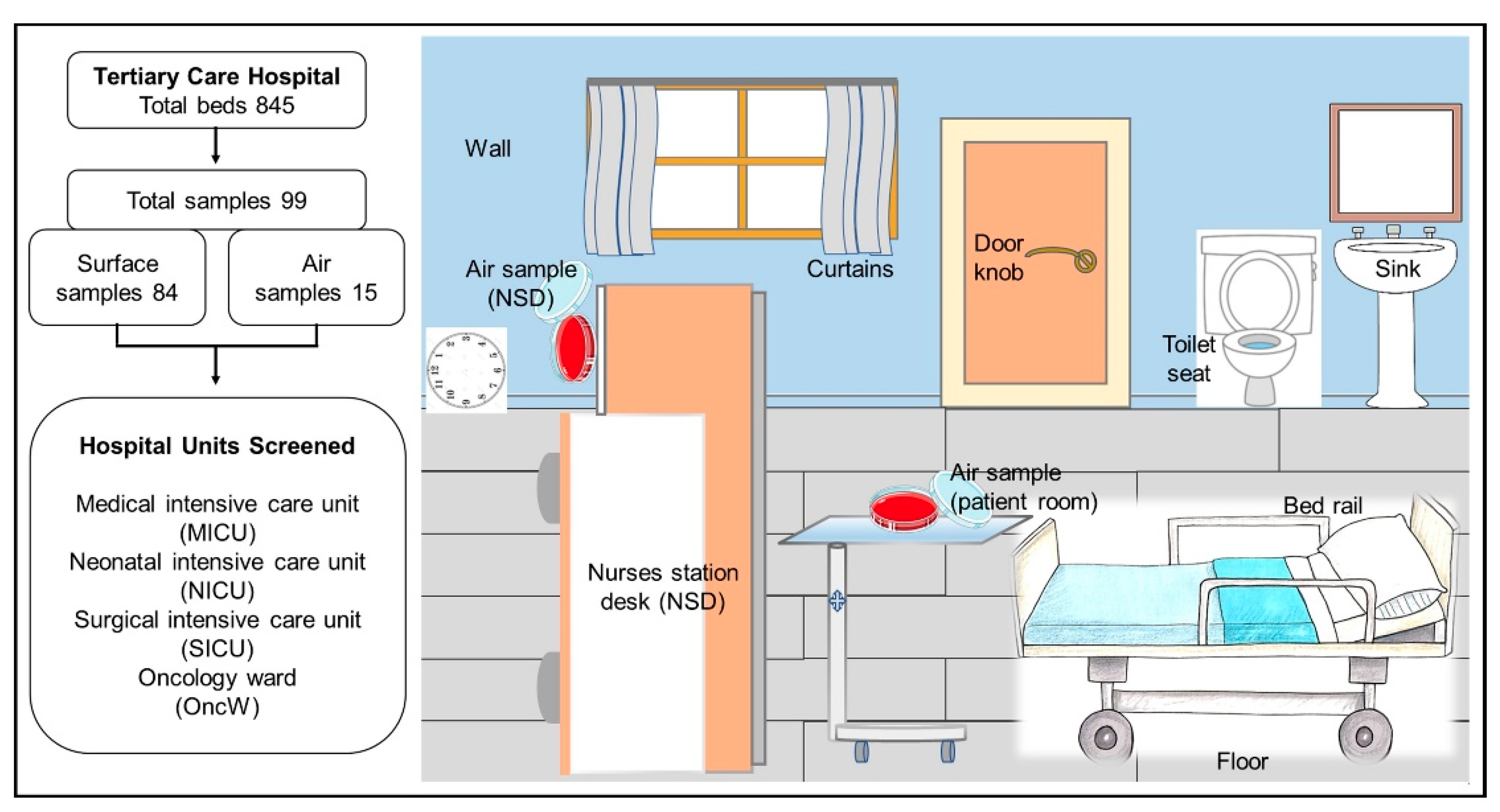 Pharmaceuticals 15 00611 g006
